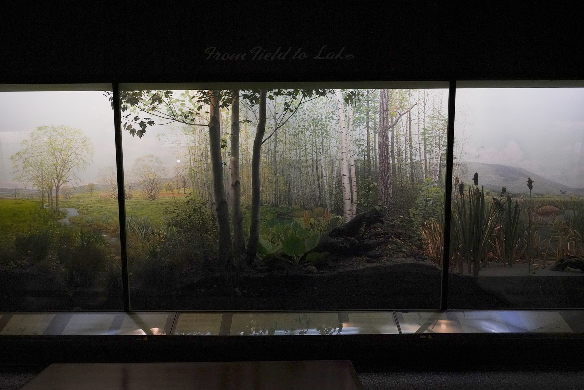 Amerian Museum of Natural History - Earth (63)