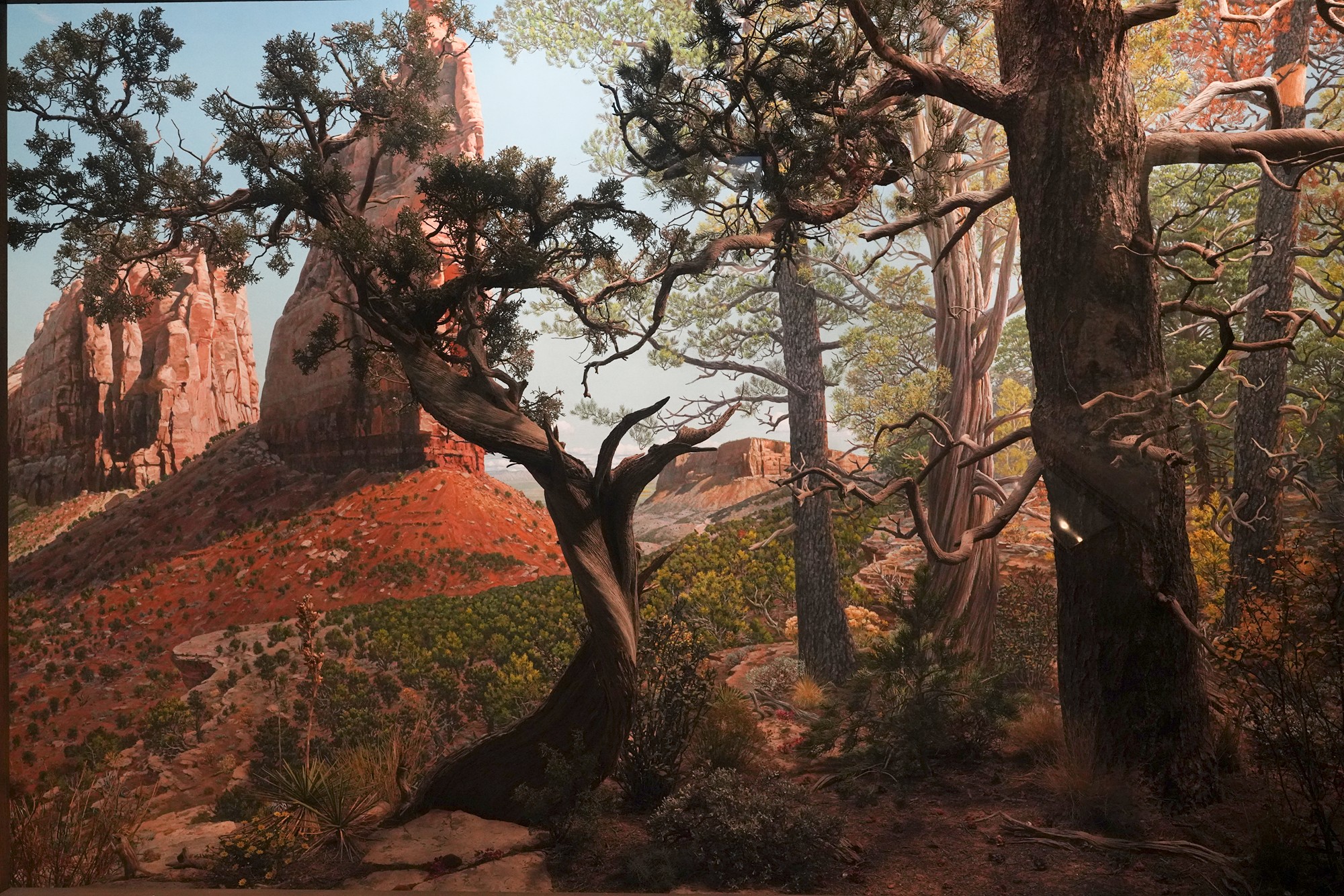 Amerian Museum of Natural History - Earth (65)