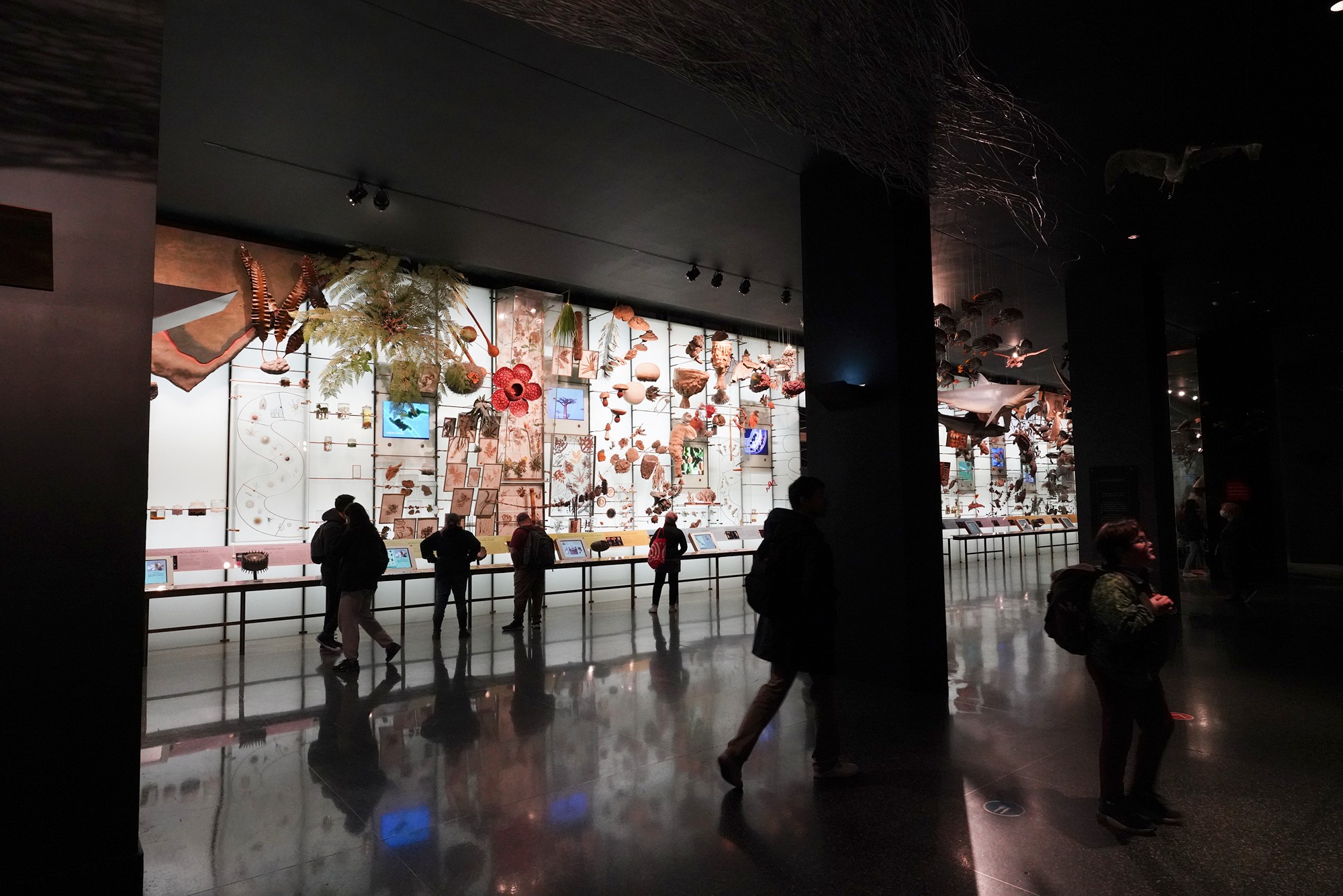 Amerian Museum of Natural History - Earth (67)
