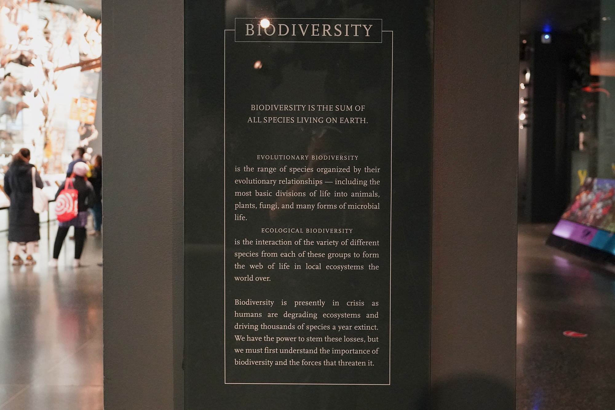 Amerian Museum of Natural History - Earth (68)