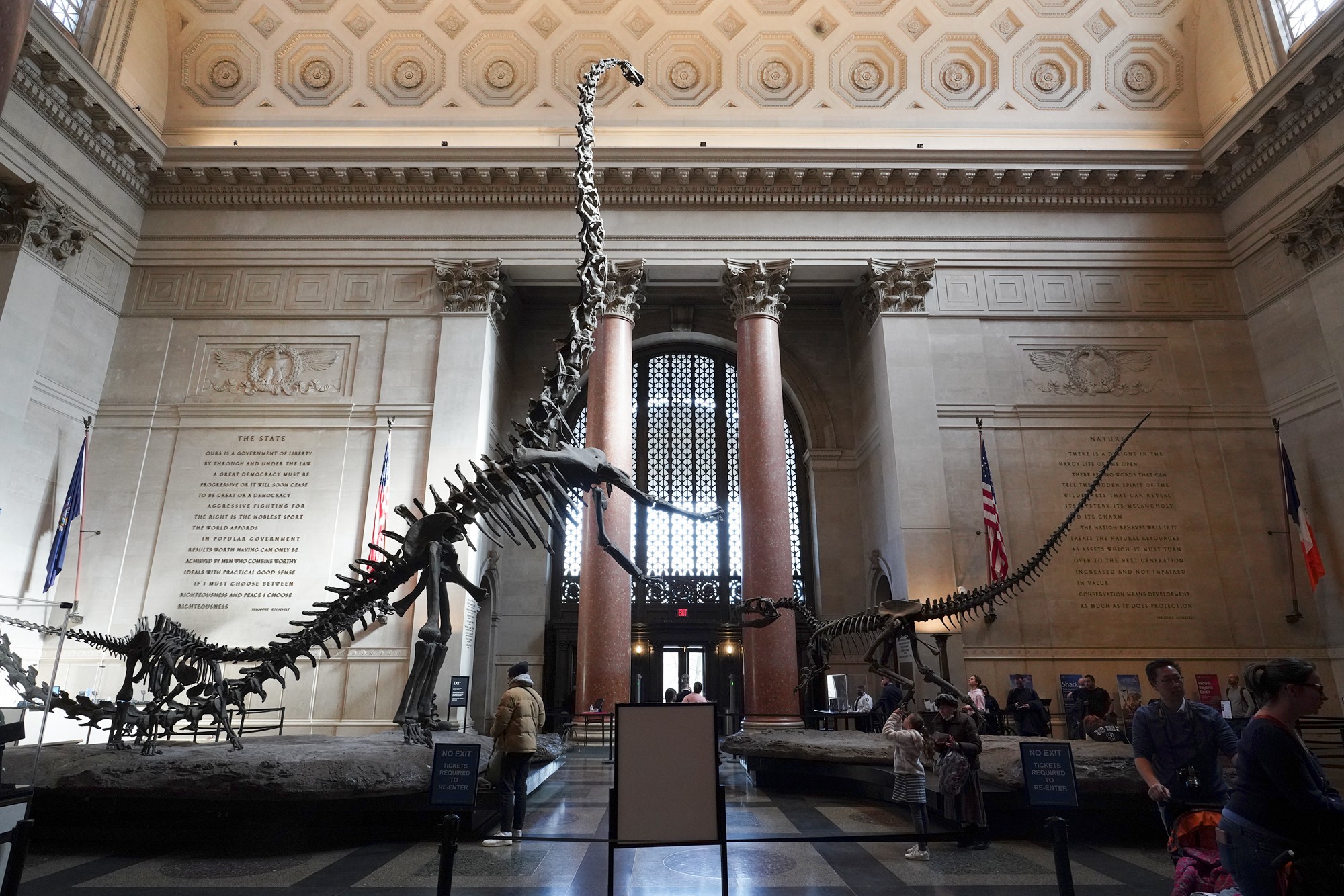 Amerian Museum of Natural History - Earth (7)