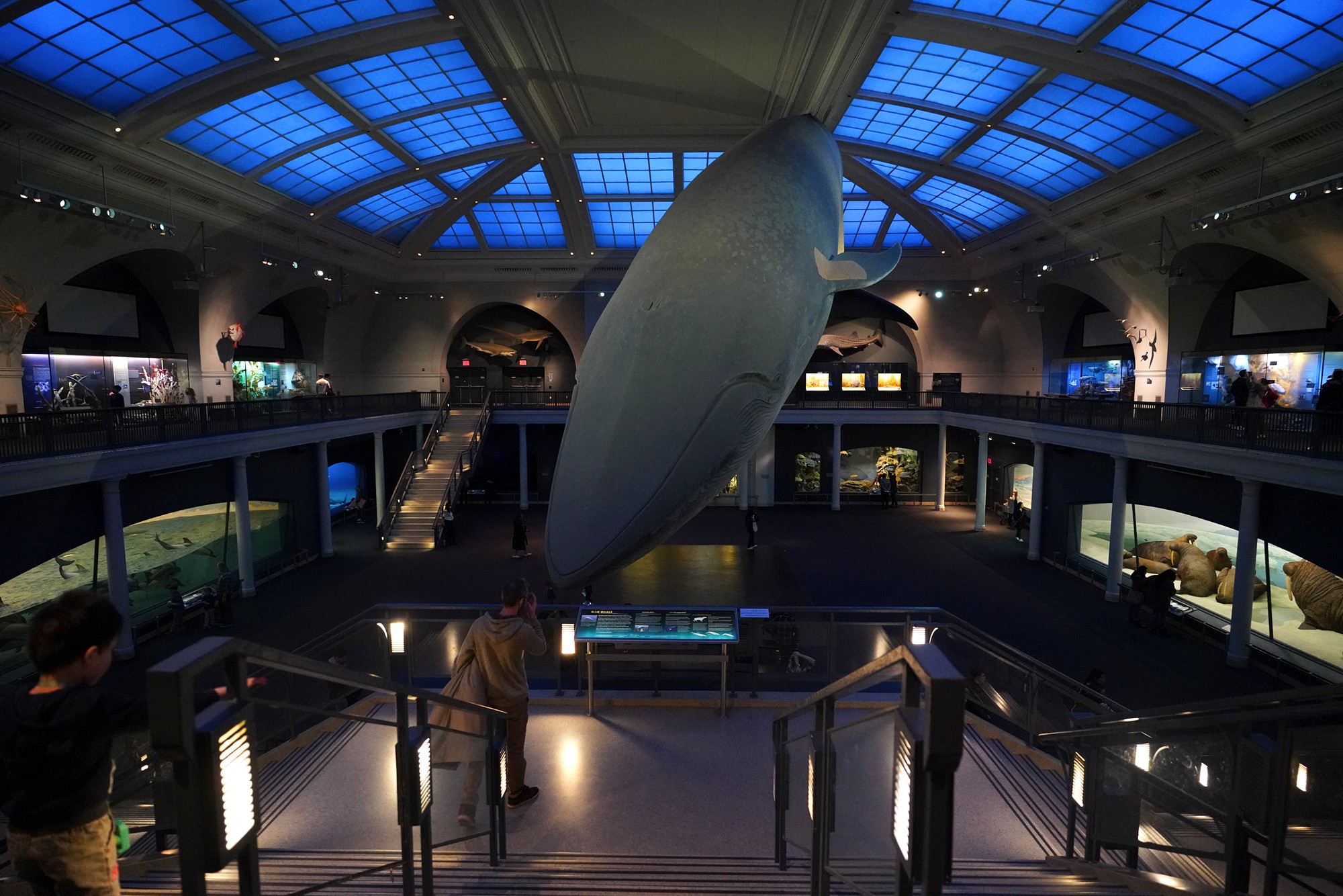 Amerian Museum of Natural History - Earth (70)