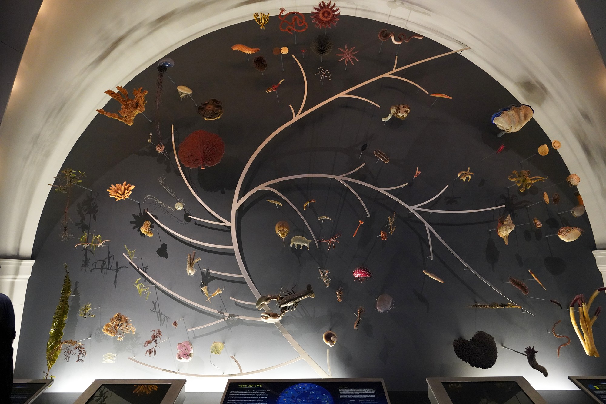 Amerian Museum of Natural History - Earth (71)