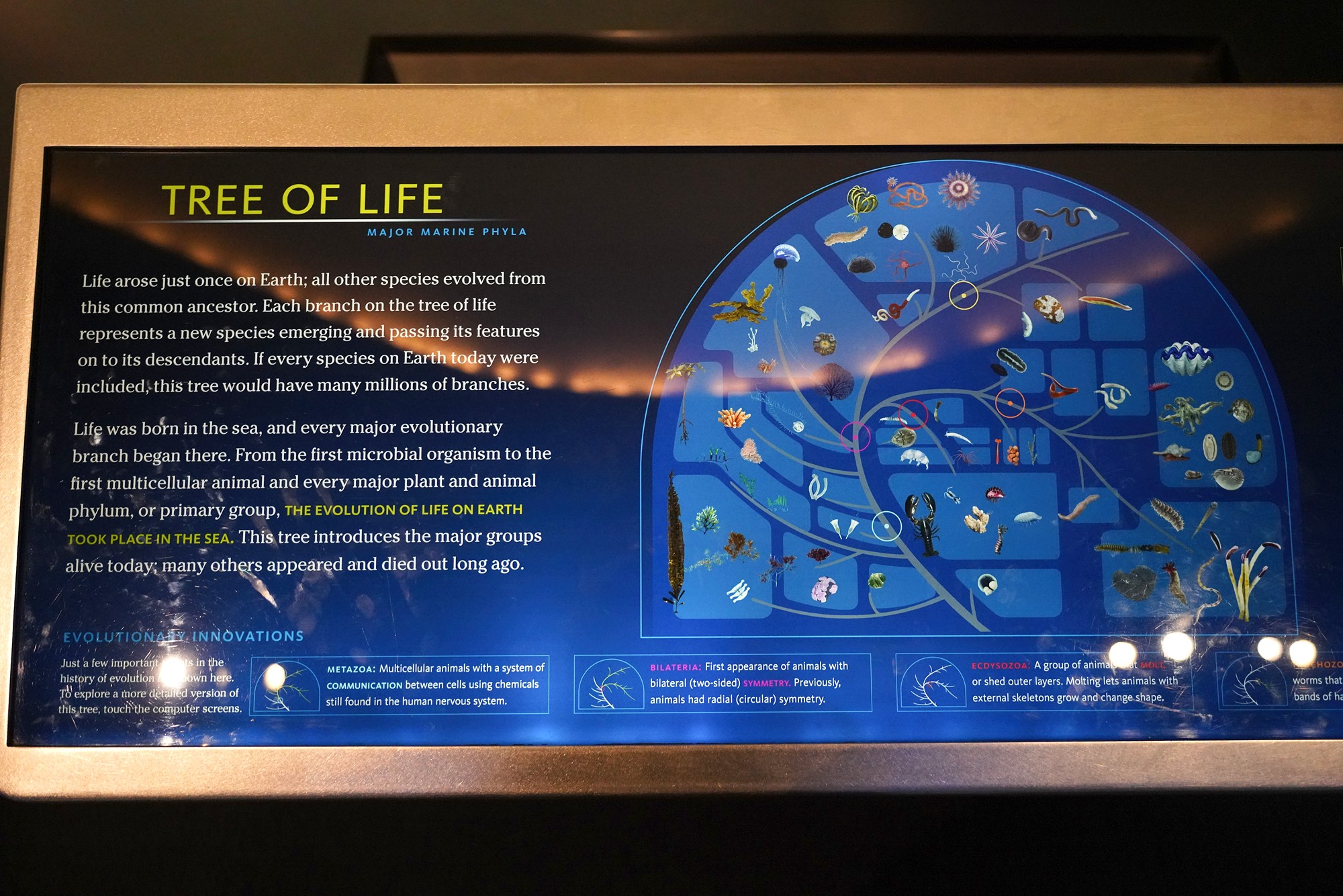Amerian Museum of Natural History - Earth (72)