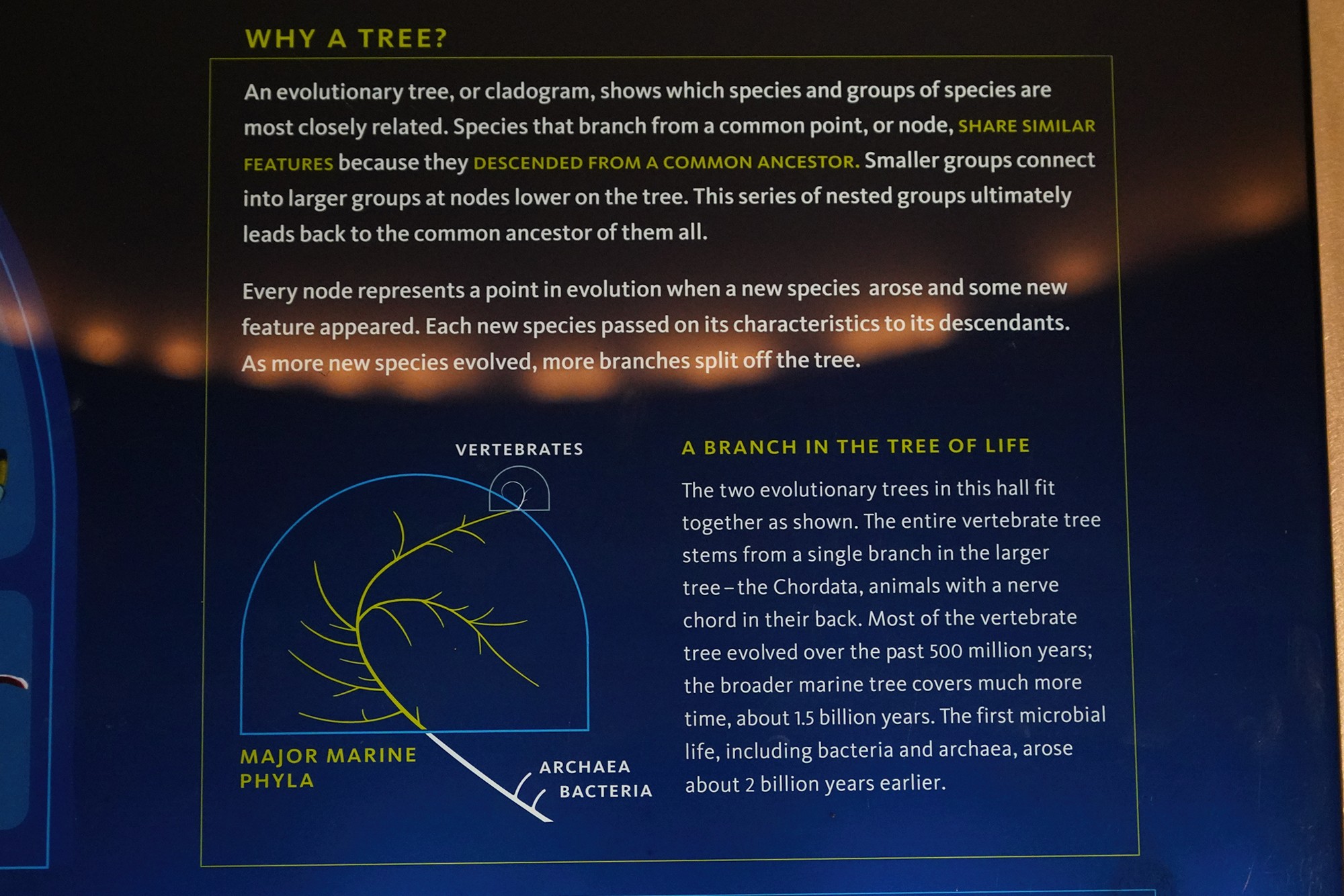 Amerian Museum of Natural History - Earth (73)