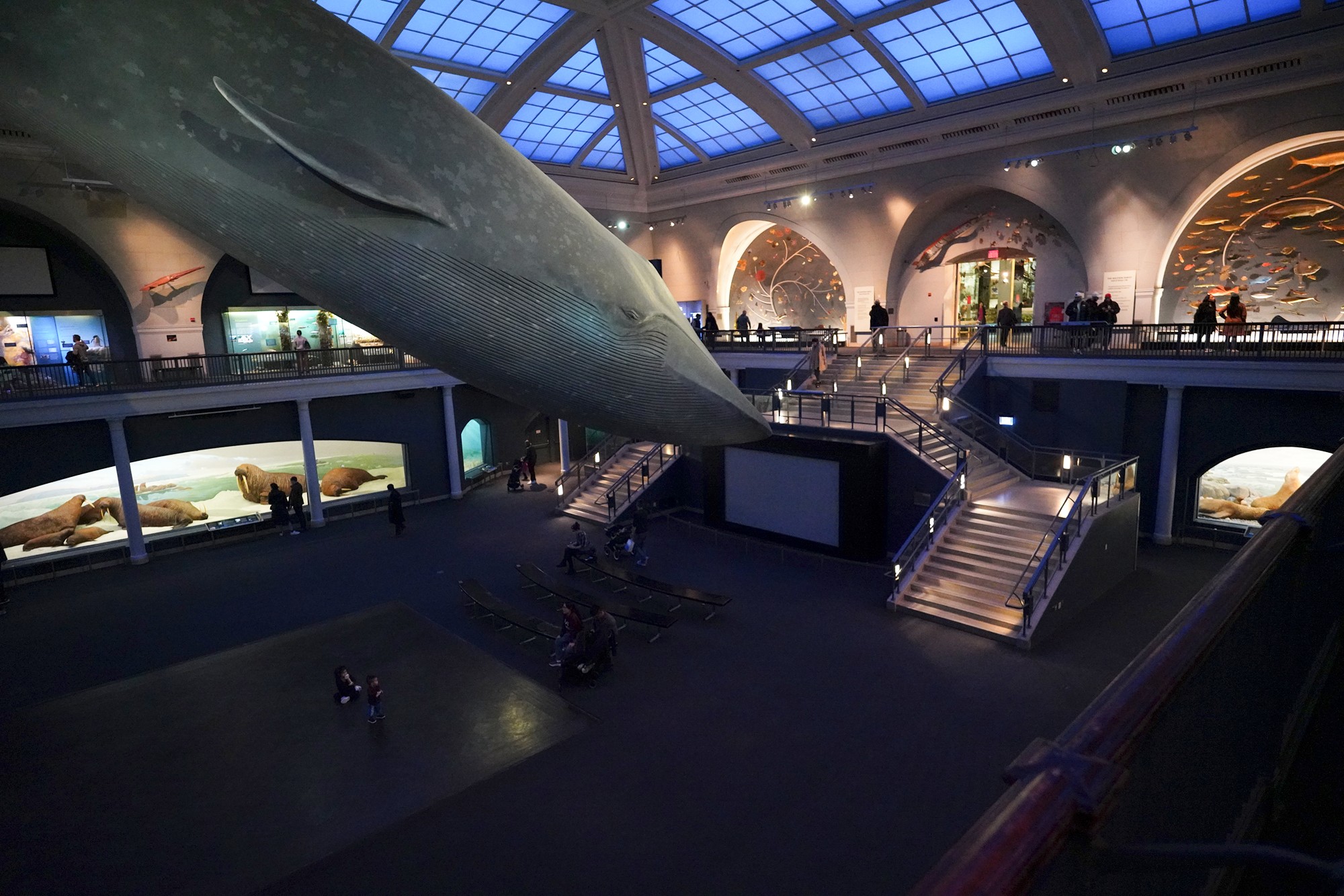 Amerian Museum of Natural History - Earth (74)