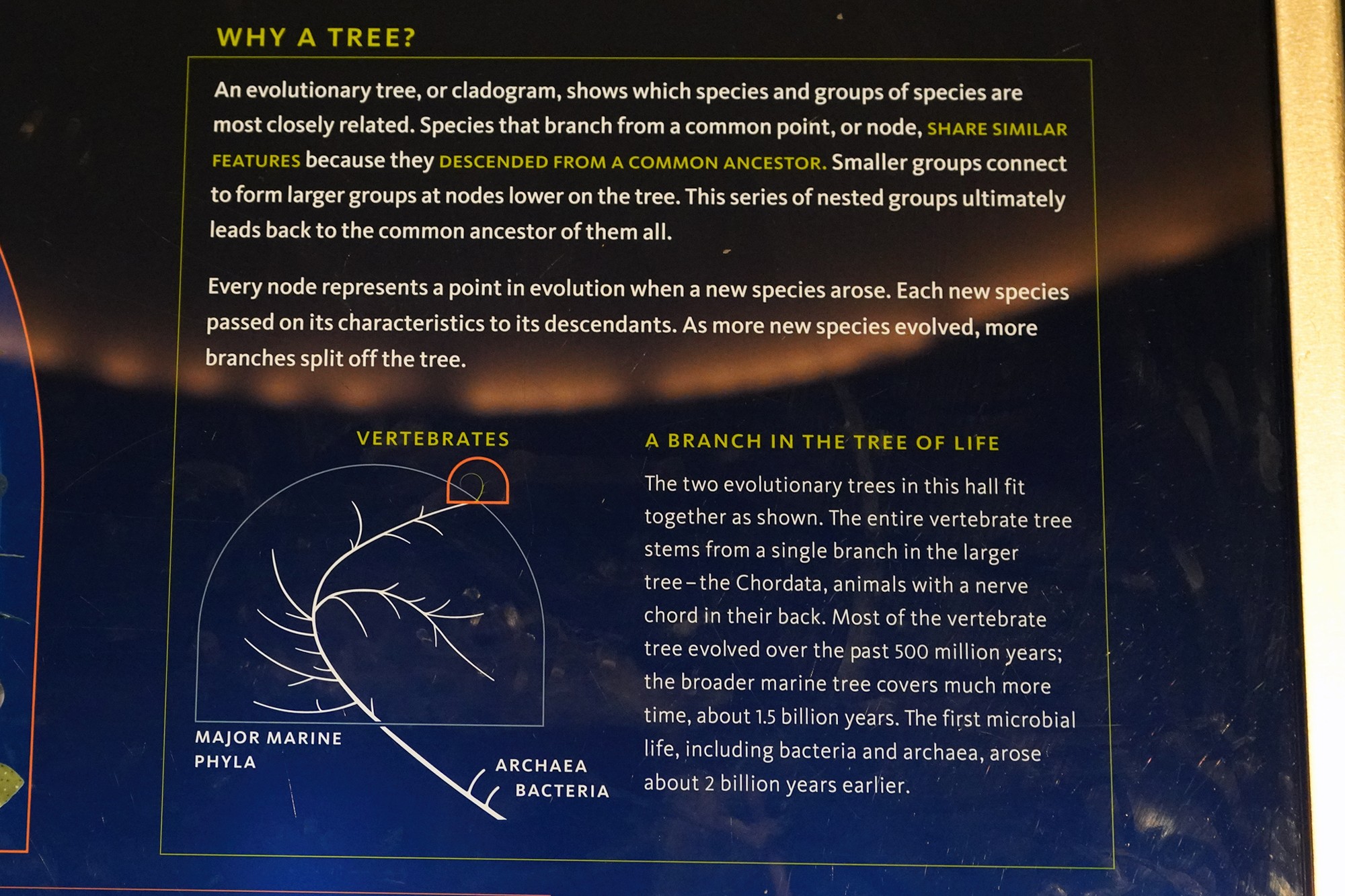 Amerian Museum of Natural History - Earth (78)