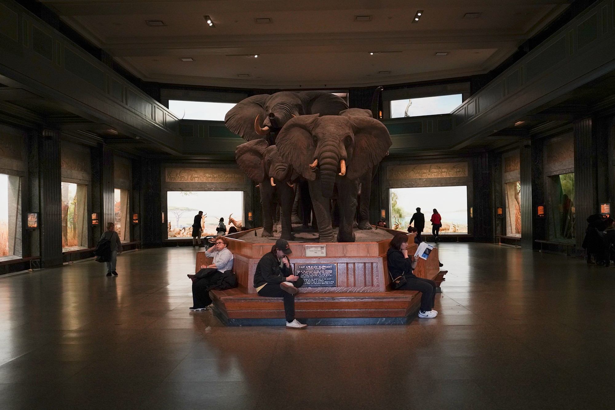 Amerian Museum of Natural History - Earth (84)