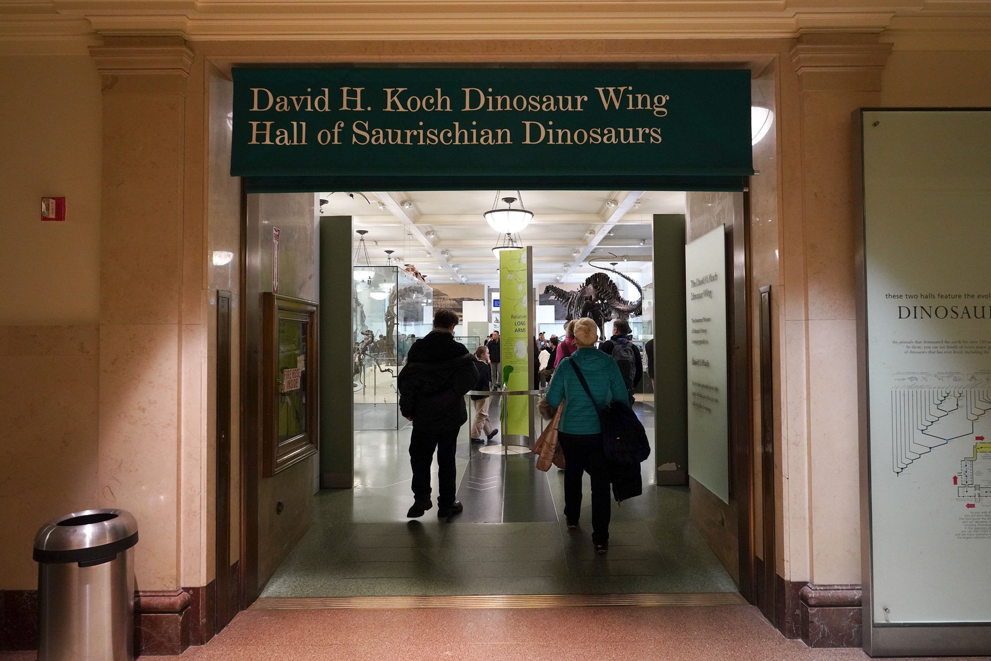 Amerian Museum of Natural History - Earth (89)