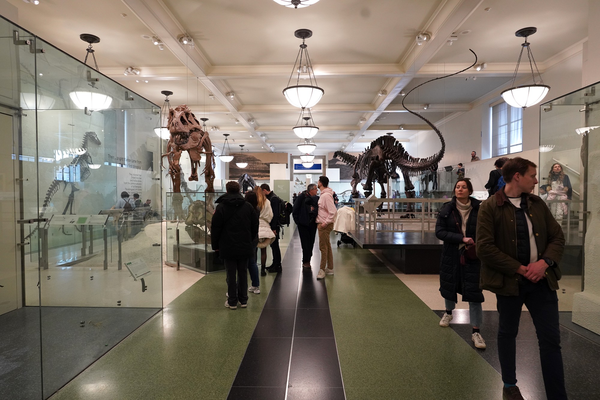 Amerian Museum of Natural History - Earth (90)