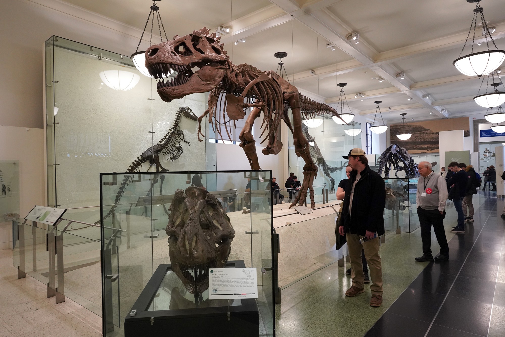Amerian Museum of Natural History - Earth (91)