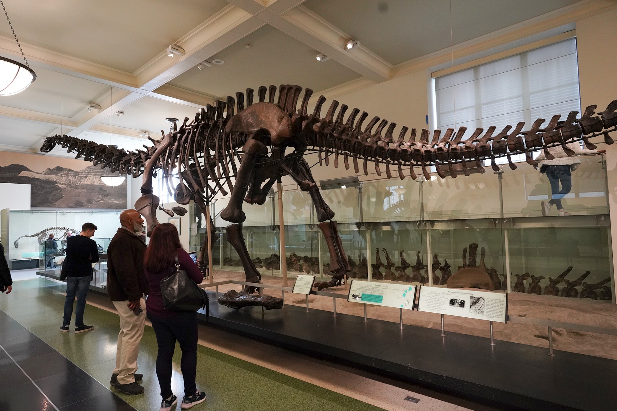 Amerian Museum of Natural History - Earth (92)