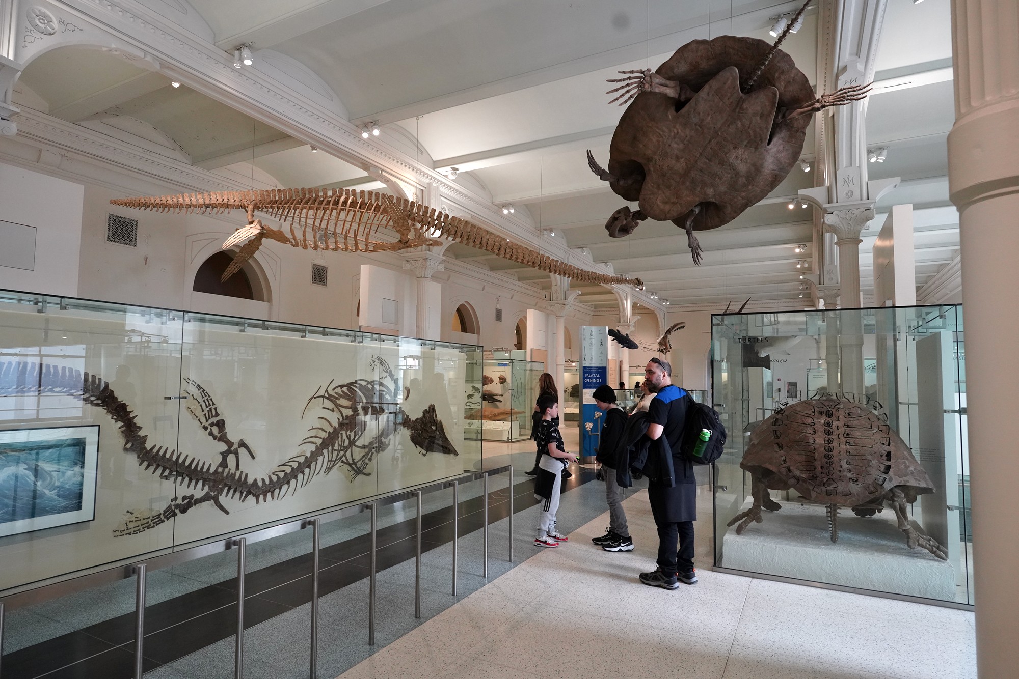 Amerian Museum of Natural History - Earth (93)