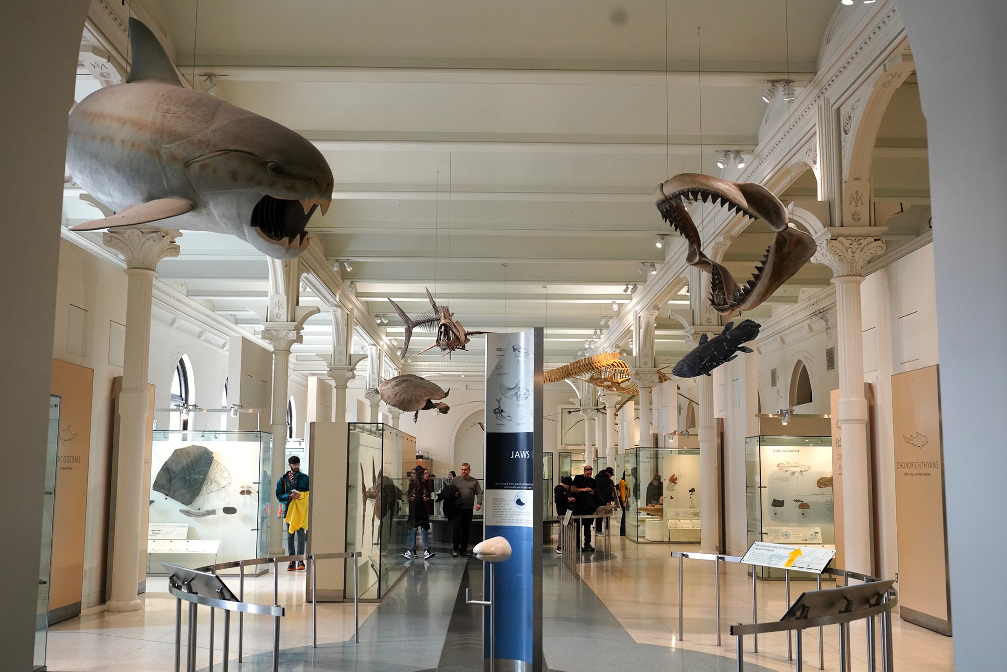 Amerian Museum of Natural History - Earth (95)