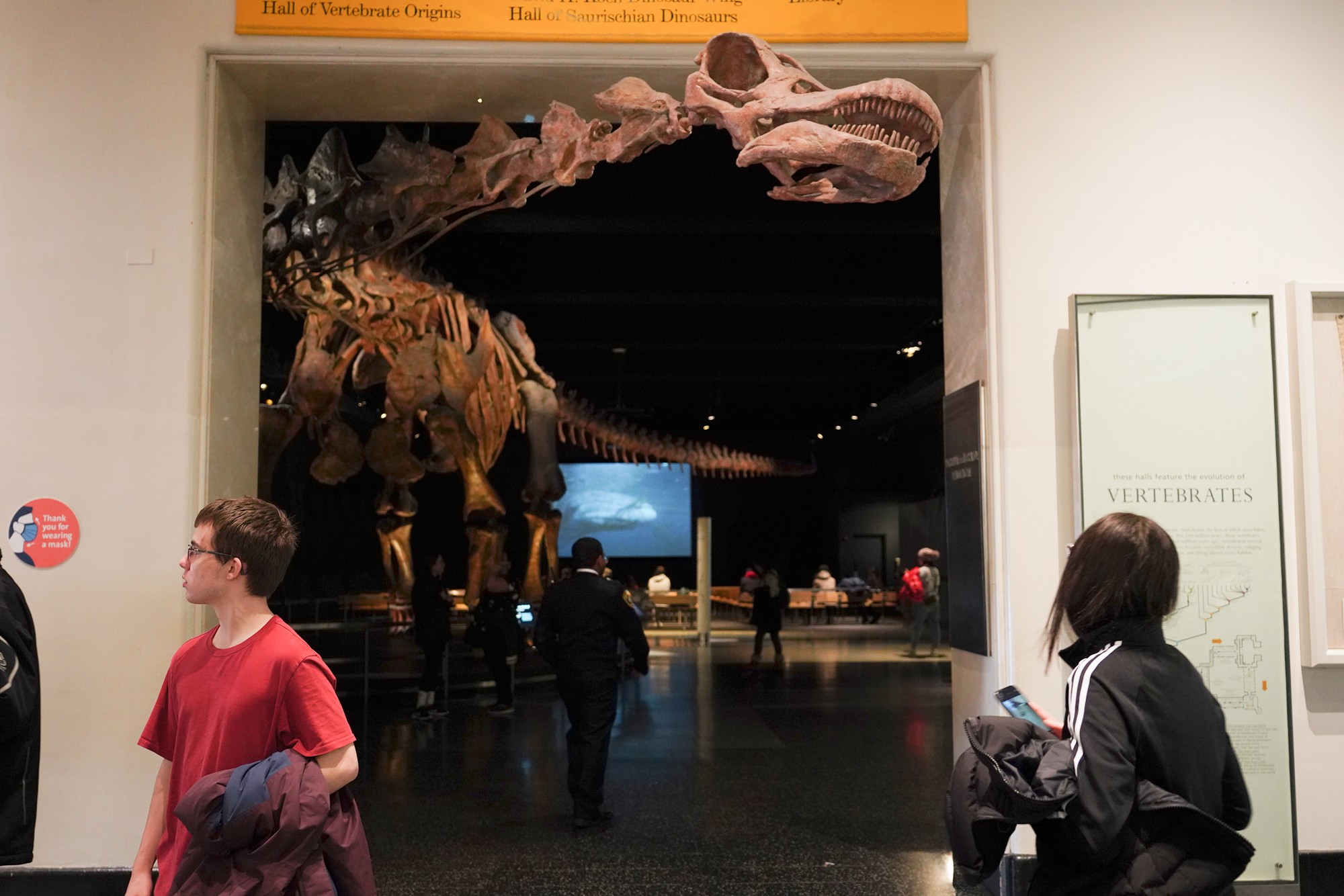 Amerian Museum of Natural History - Earth (96)