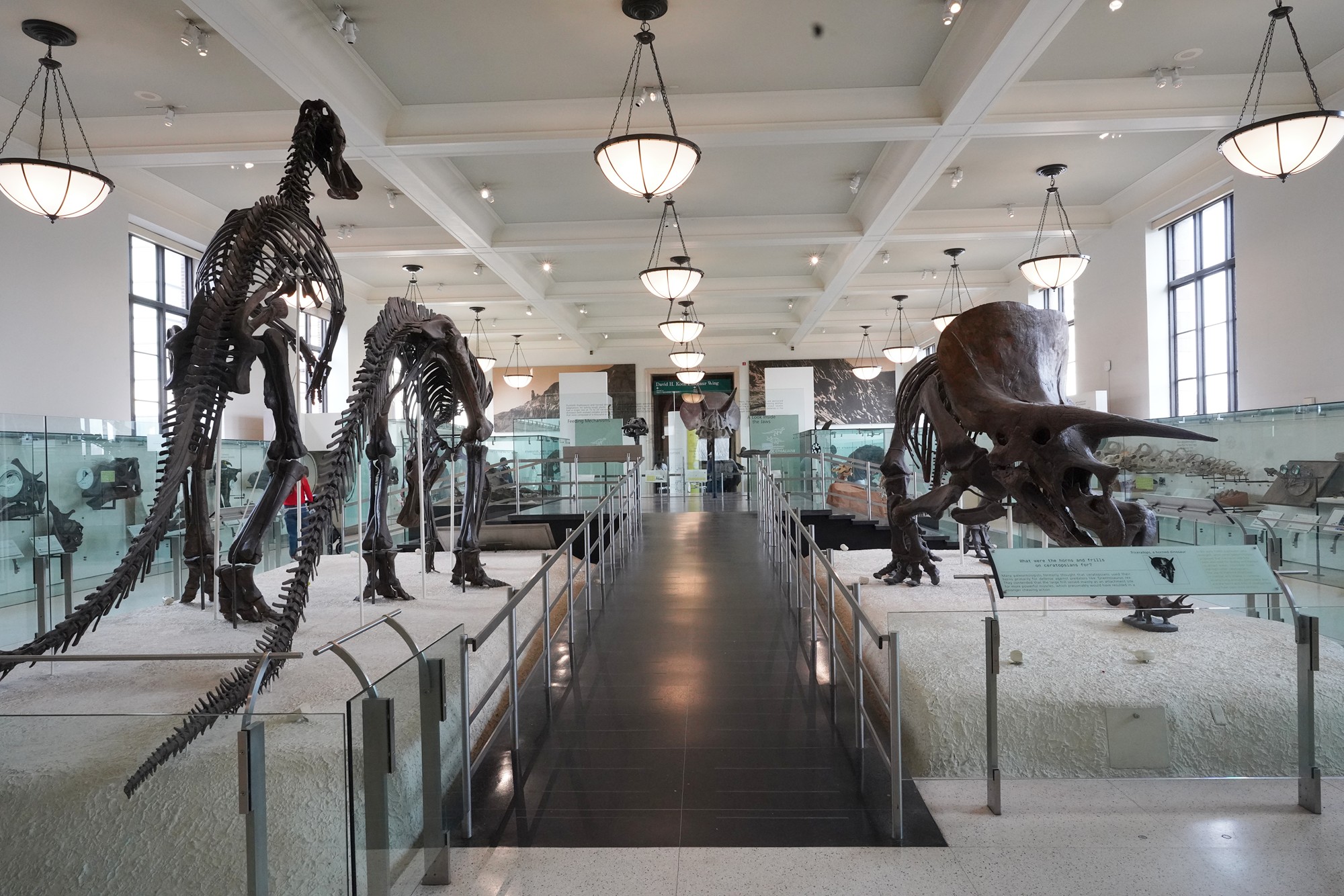 Amerian Museum of Natural History - Earth (98)