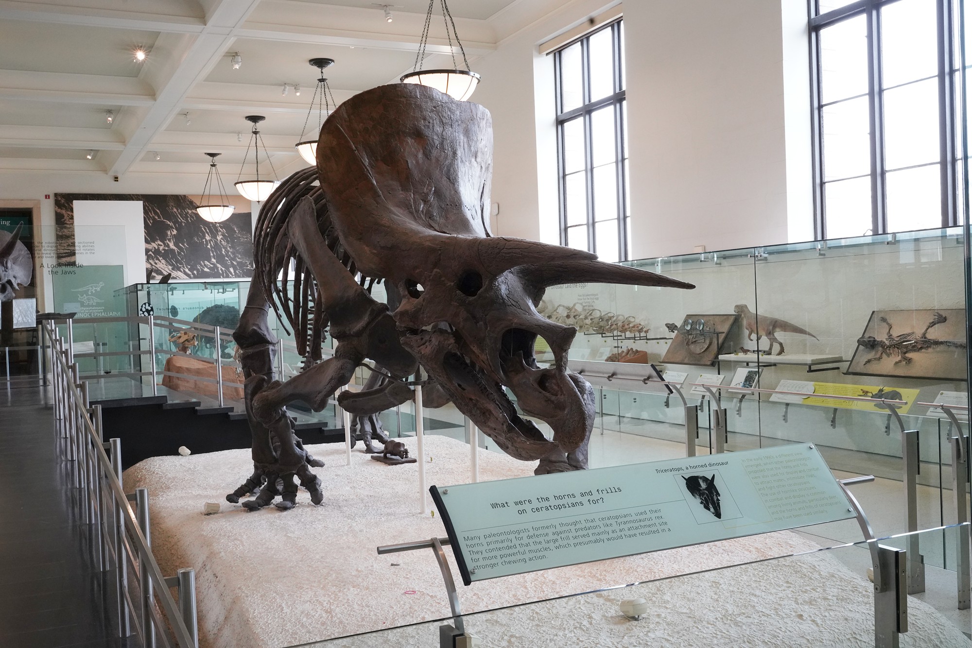 Amerian Museum of Natural History - Earth (99)