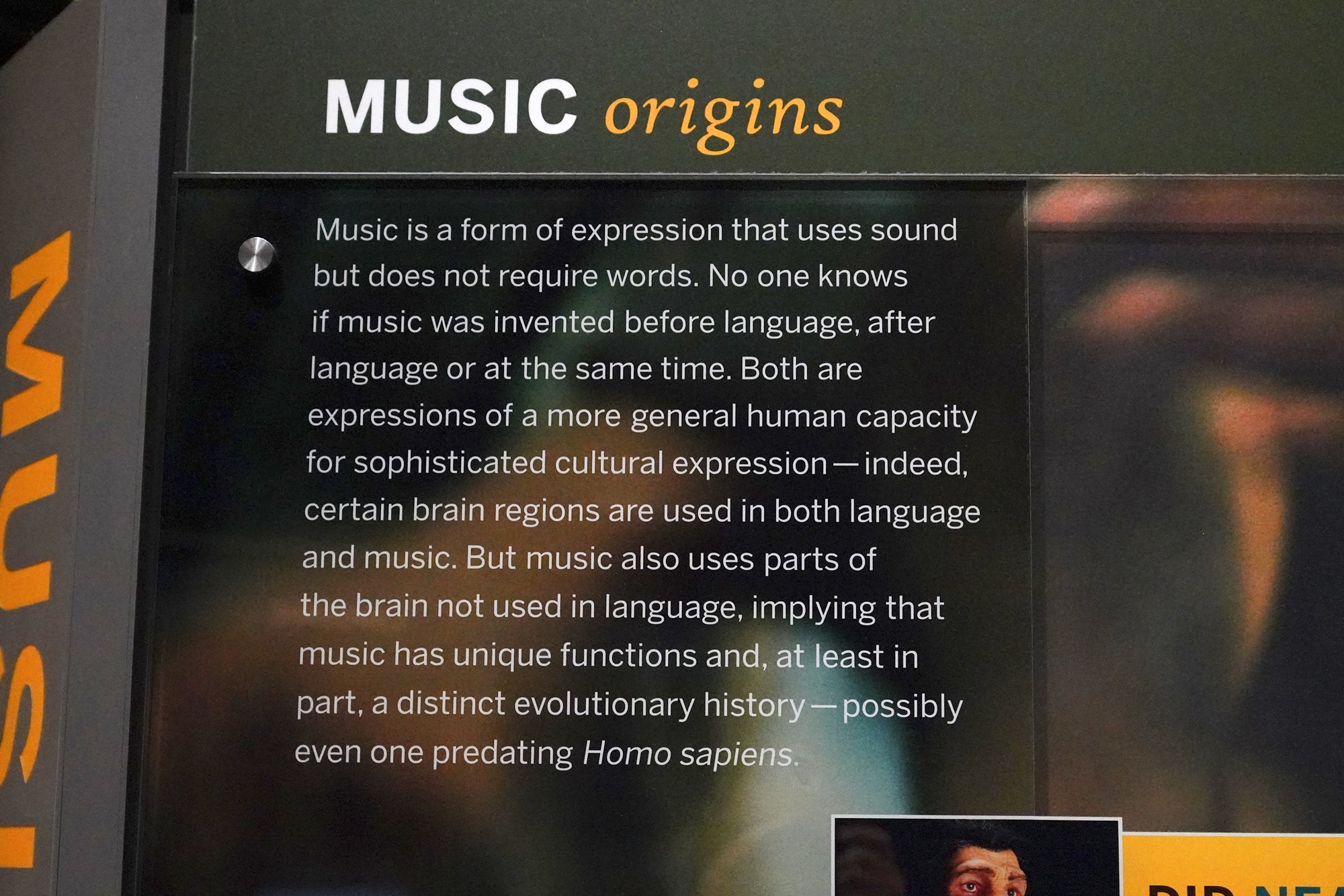 Amerian Museum of Natural History - Human Origins (100)