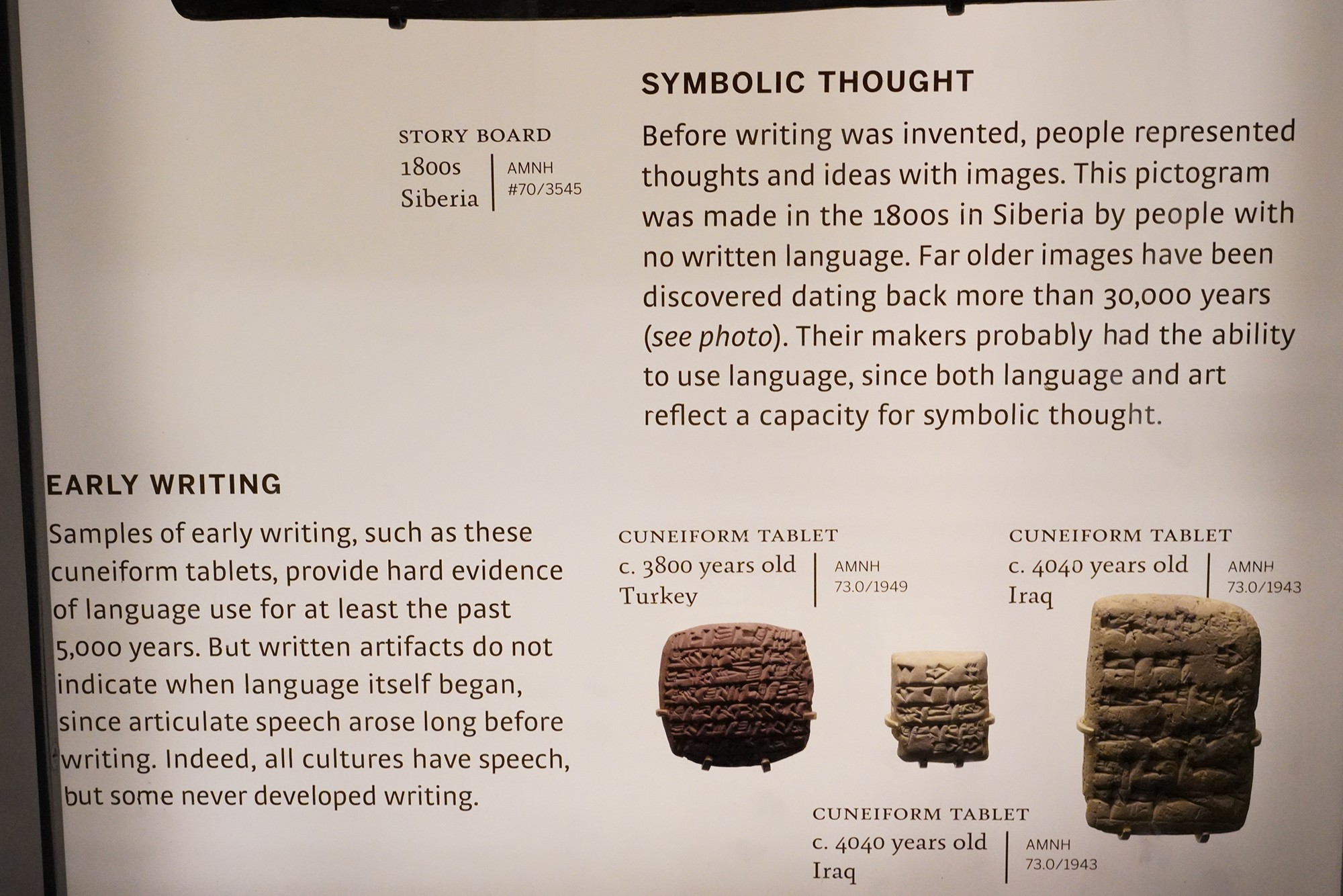 Amerian Museum of Natural History - Human Origins (103)