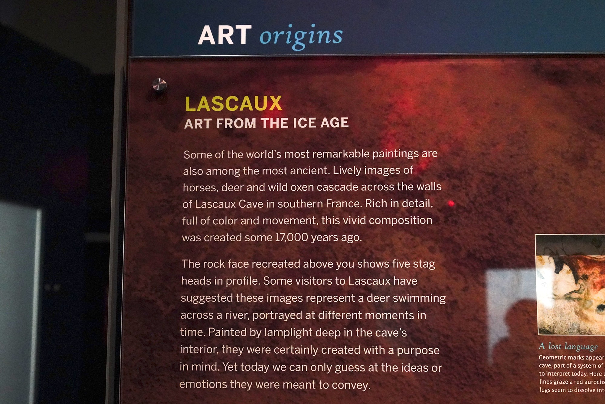 Amerian Museum of Natural History - Human Origins (104)
