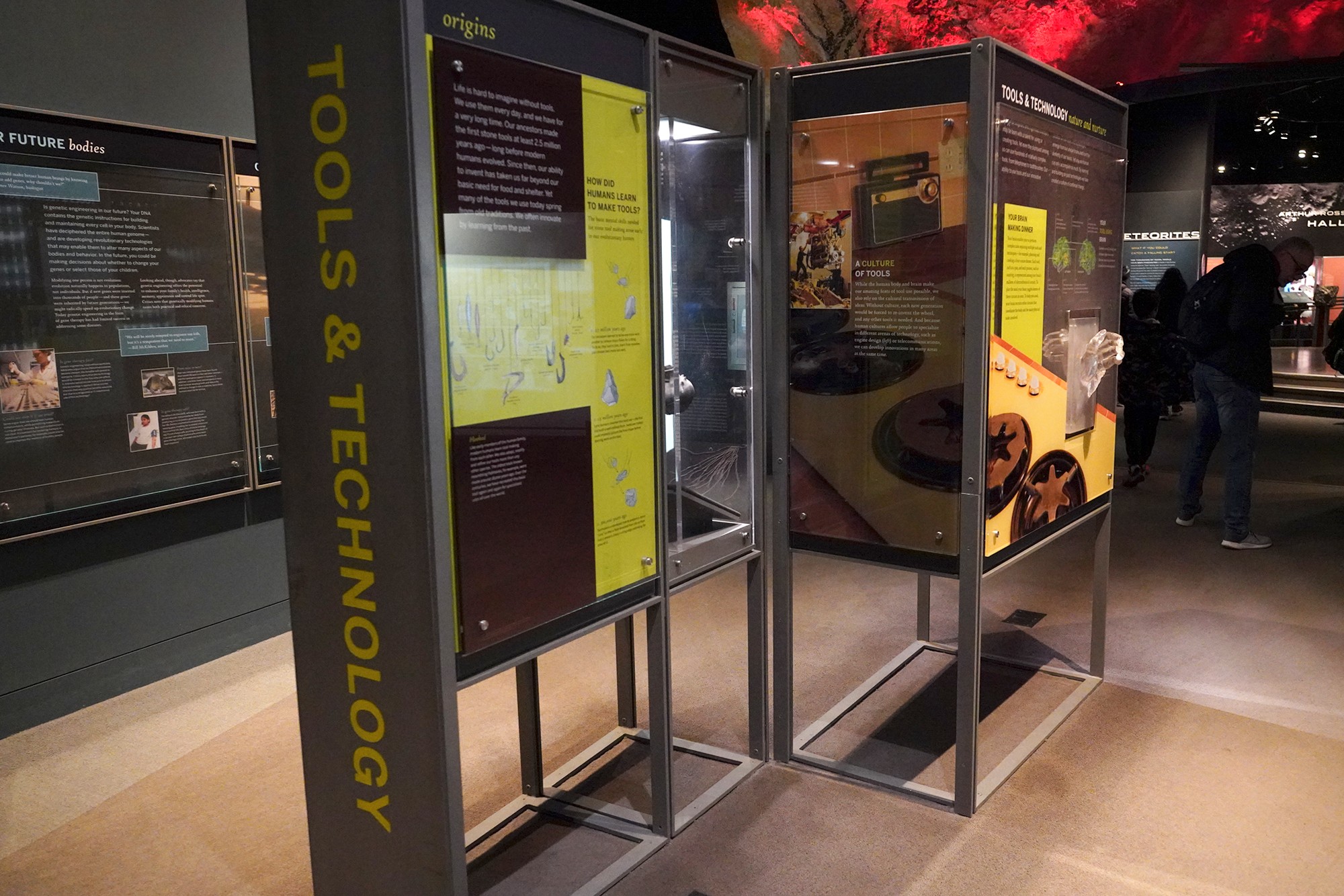 Amerian Museum of Natural History - Human Origins (106)