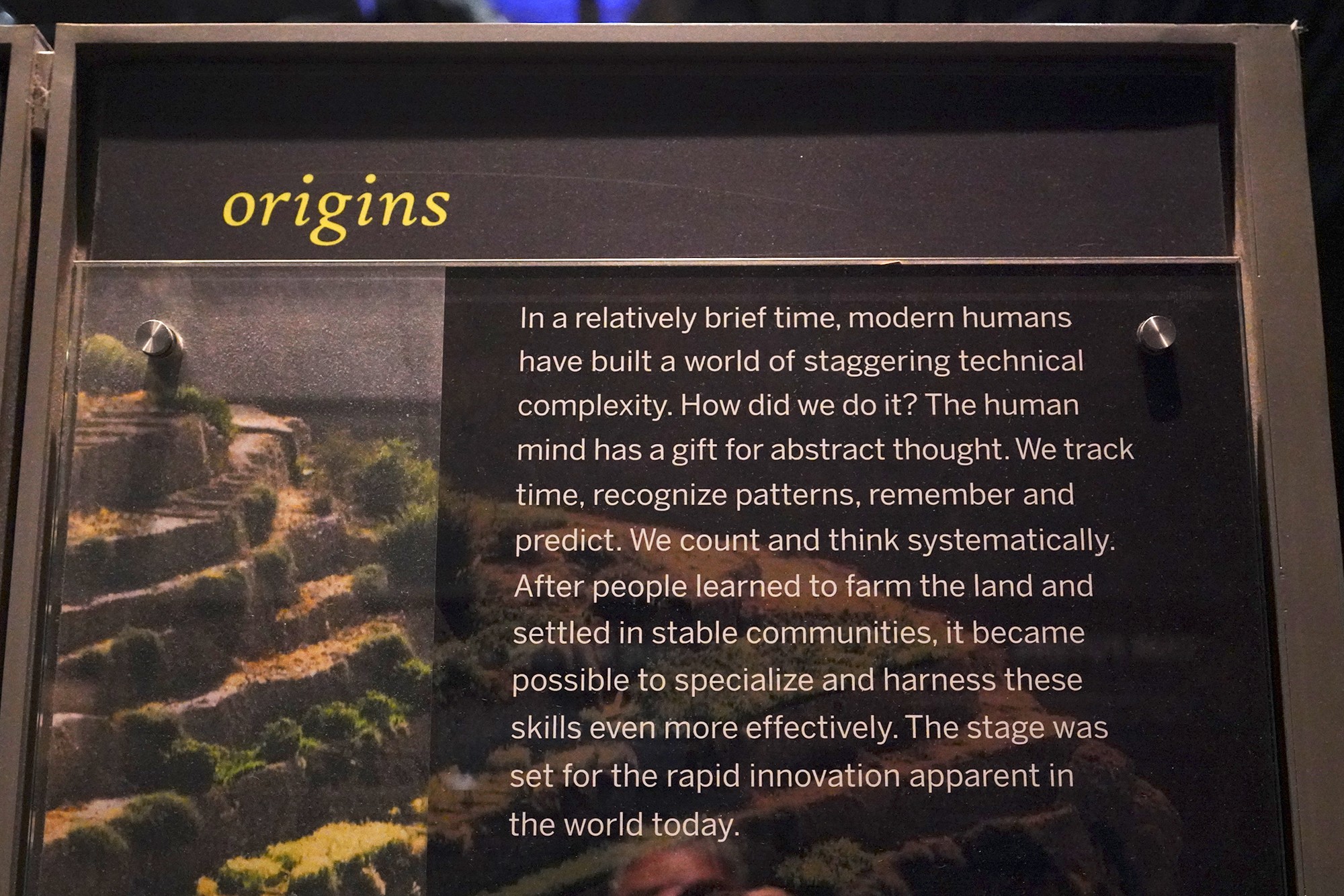 Amerian Museum of Natural History - Human Origins (107)