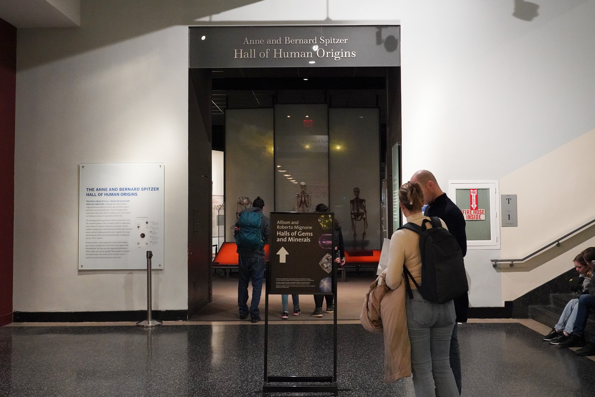 Amerian Museum of Natural History - Human Origins (2)