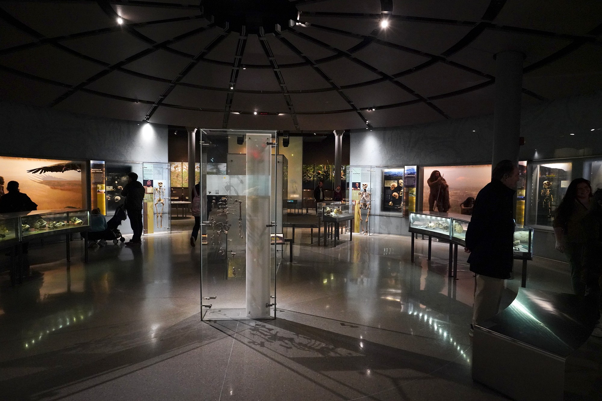 Amerian Museum of Natural History - Human Origins (3)