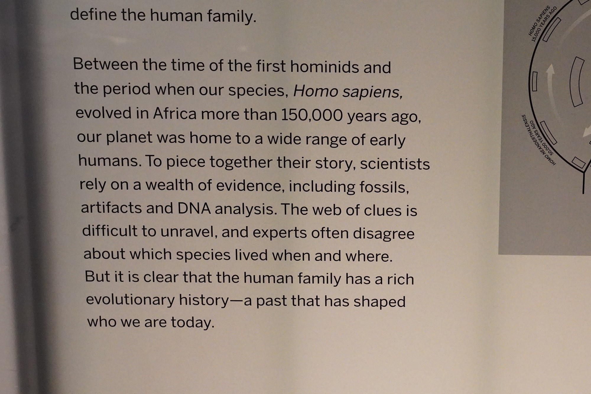 Amerian Museum of Natural History - Human Origins (43)
