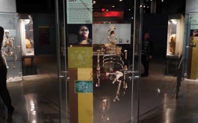 American Museum of Natural History – Human Origins, New York, NY, USA