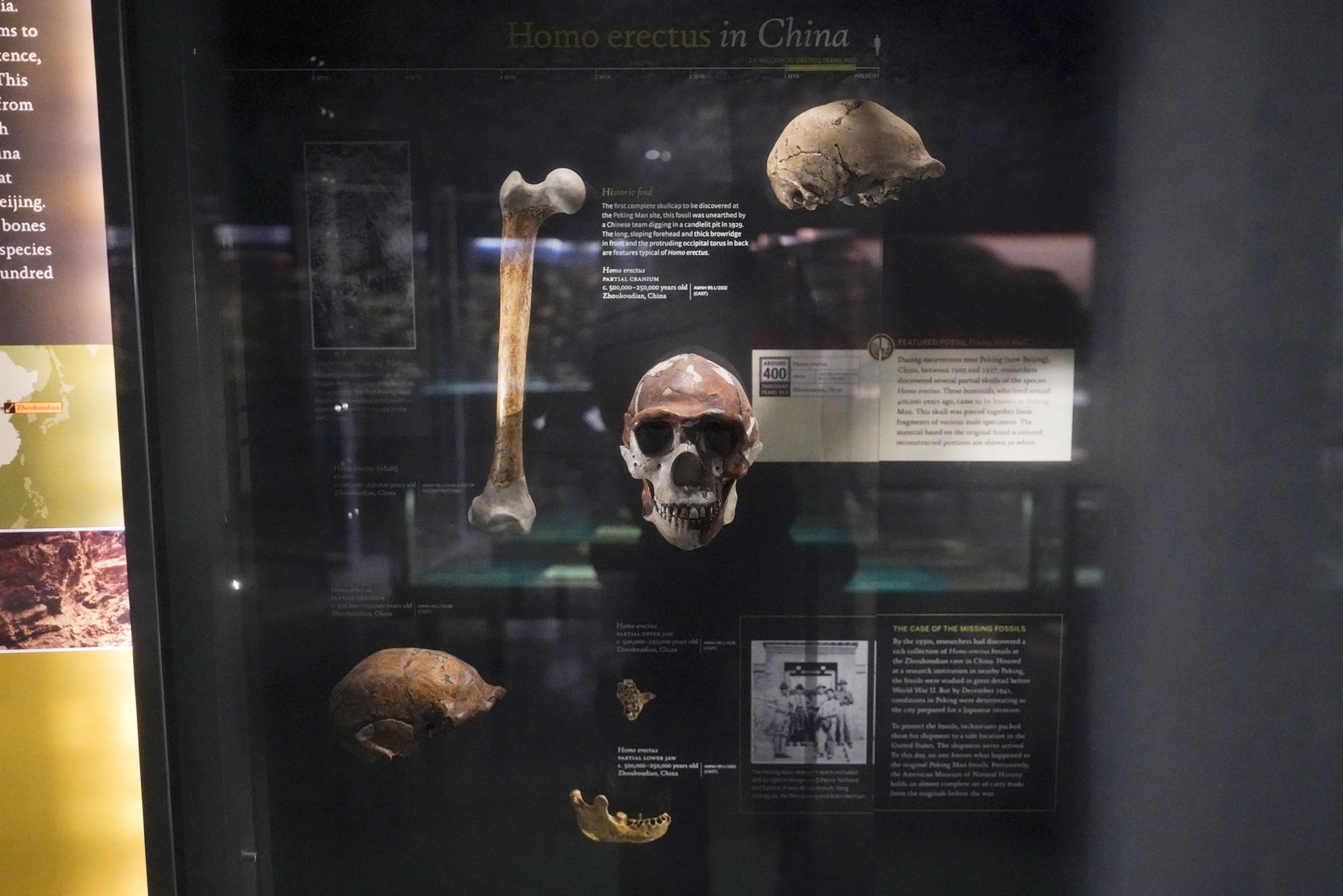 Amerian Museum of Natural History - Human Origins (61)