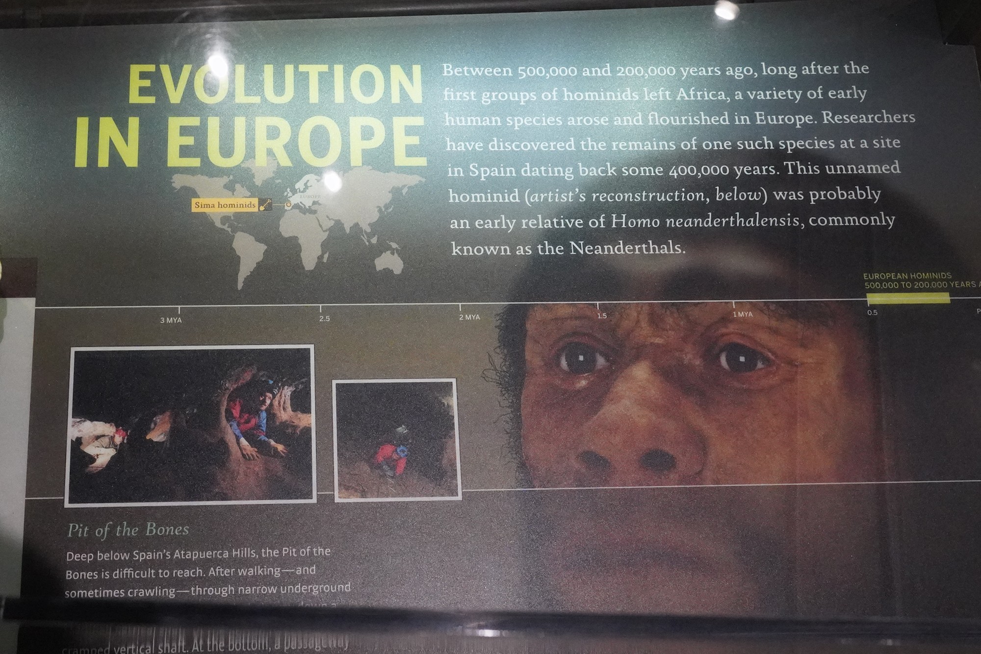 Amerian Museum of Natural History - Human Origins (71)