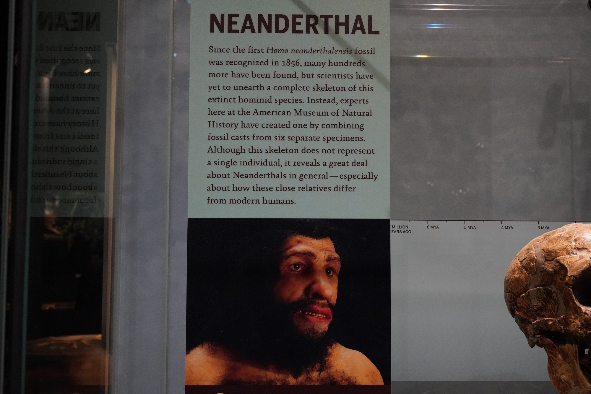 Amerian Museum of Natural History - Human Origins (73)