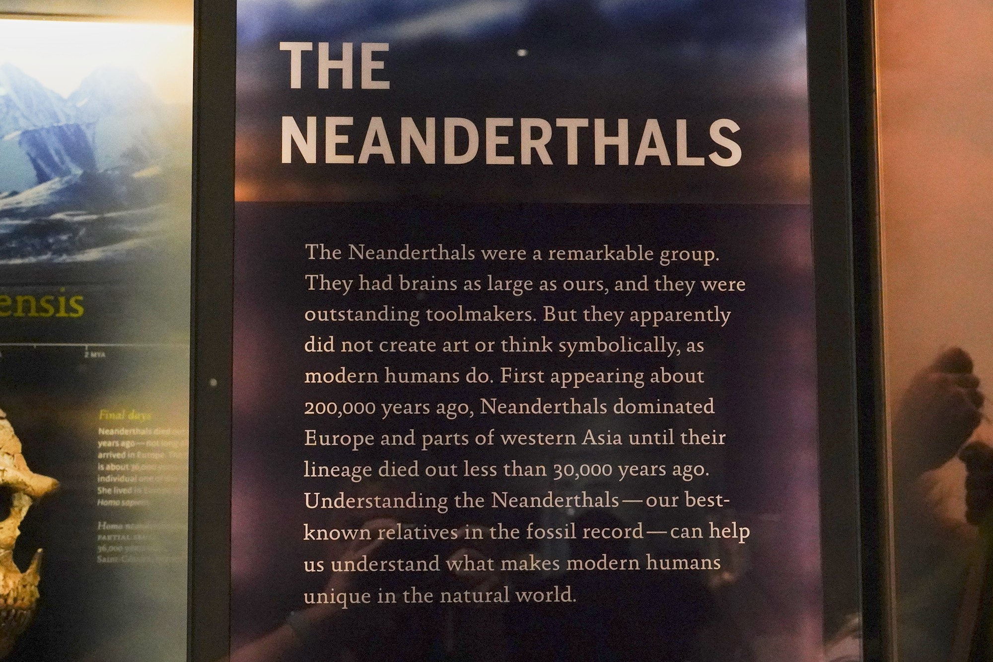 Amerian Museum of Natural History - Human Origins (76)