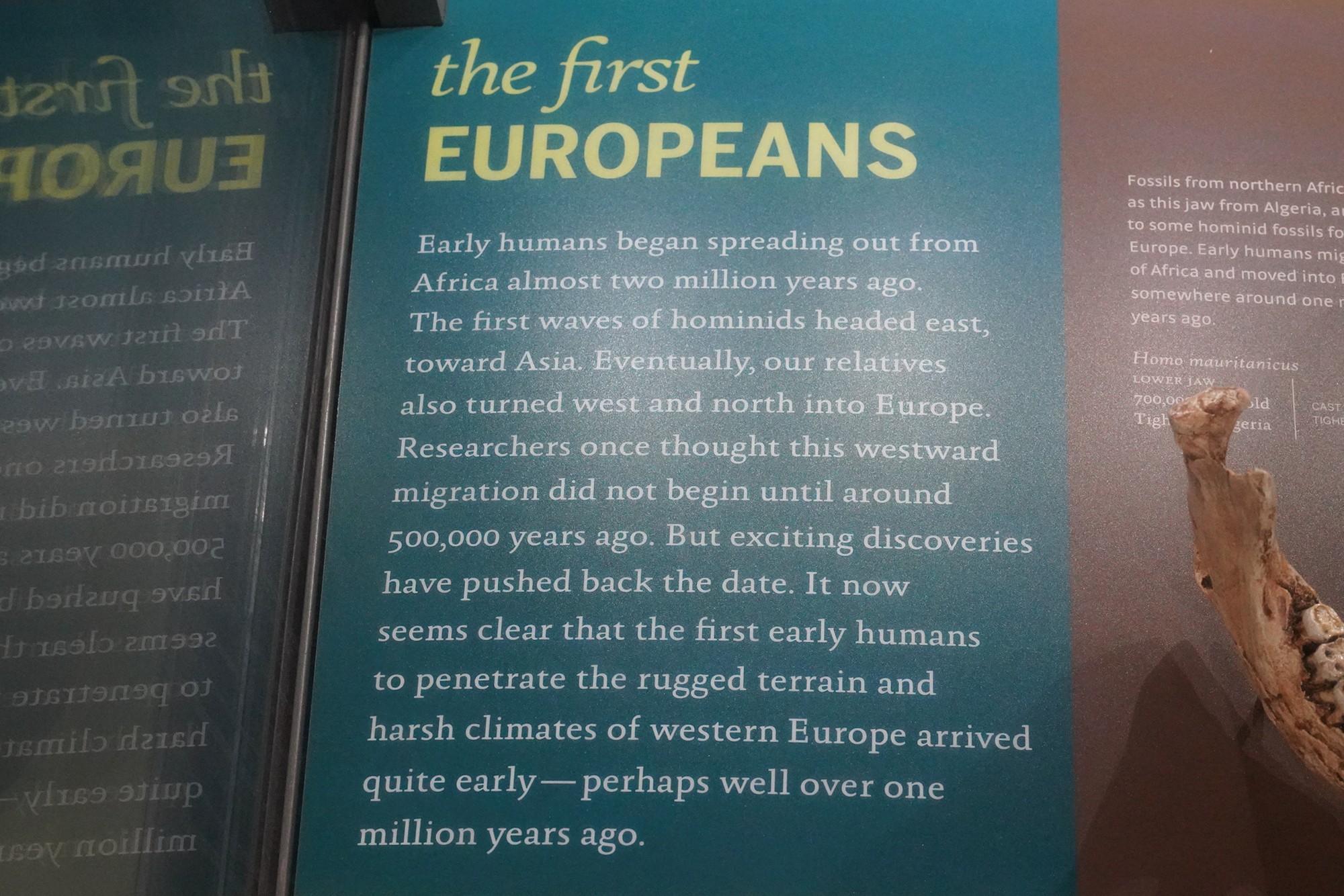 Amerian Museum of Natural History - Human Origins (78)