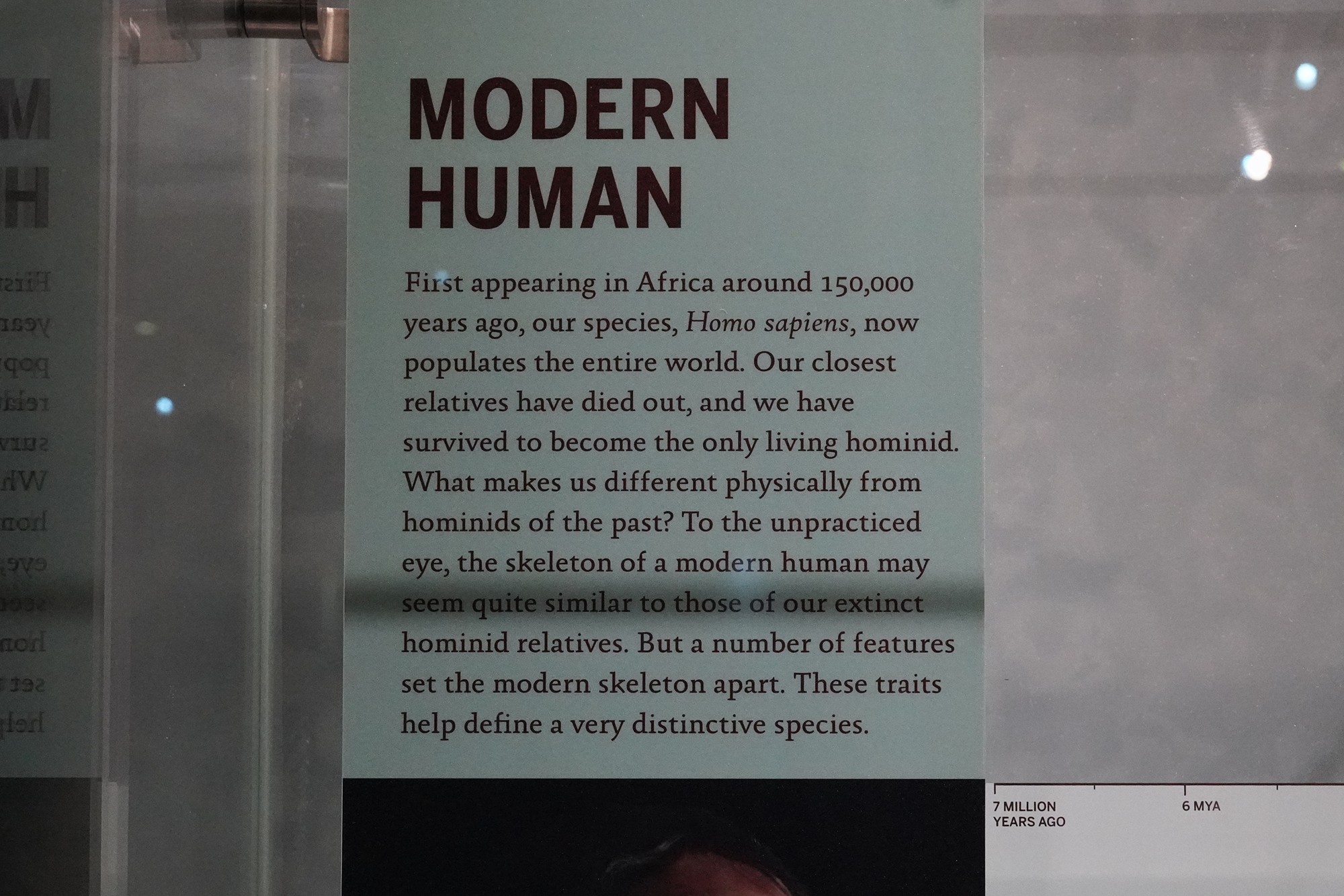 Amerian Museum of Natural History - Human Origins (81)
