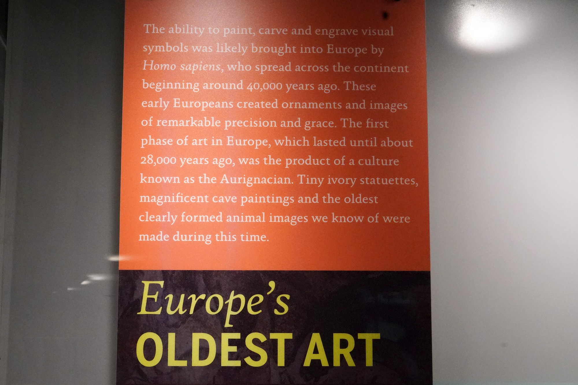 Amerian Museum of Natural History - Human Origins (82)