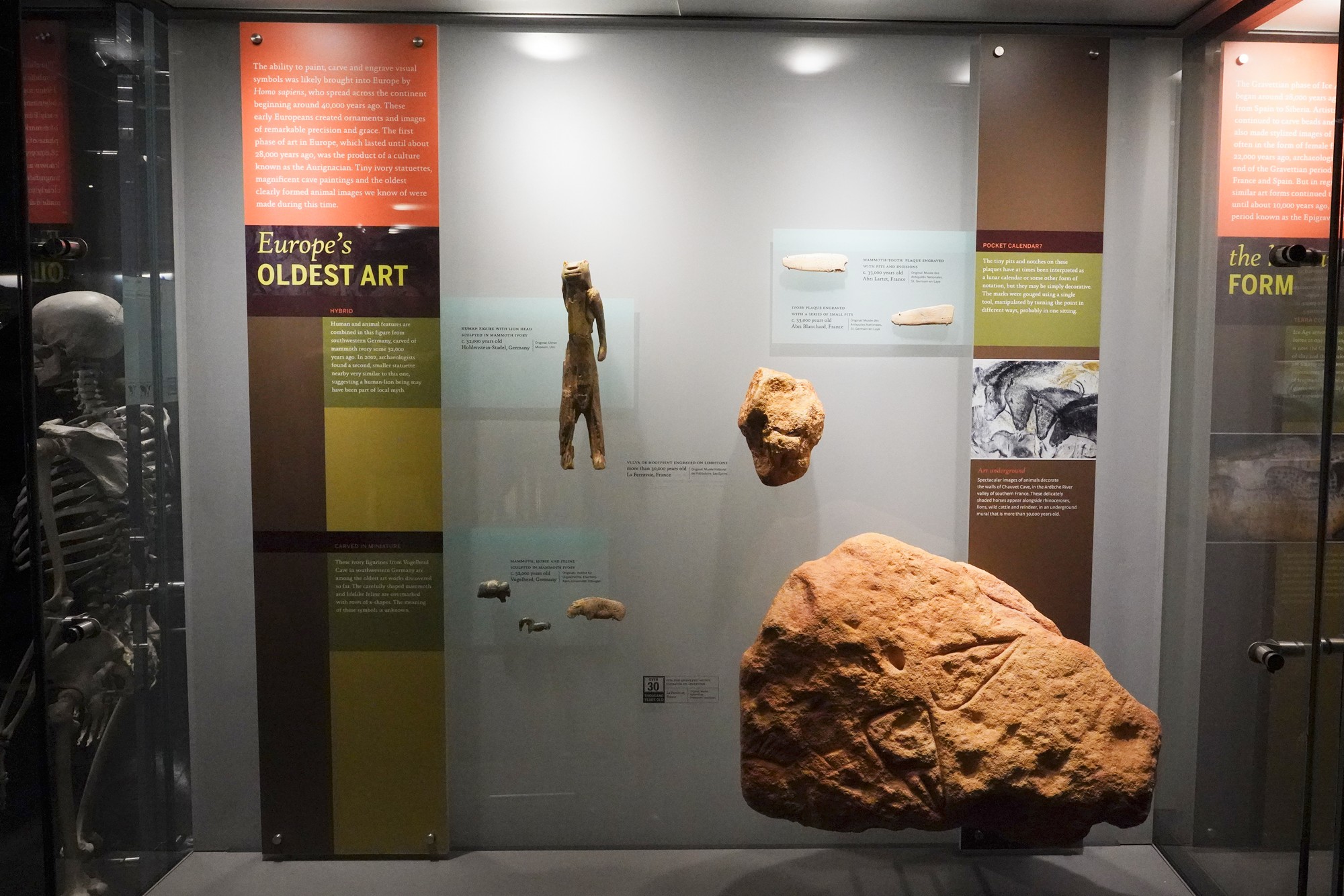Amerian Museum of Natural History - Human Origins (83)