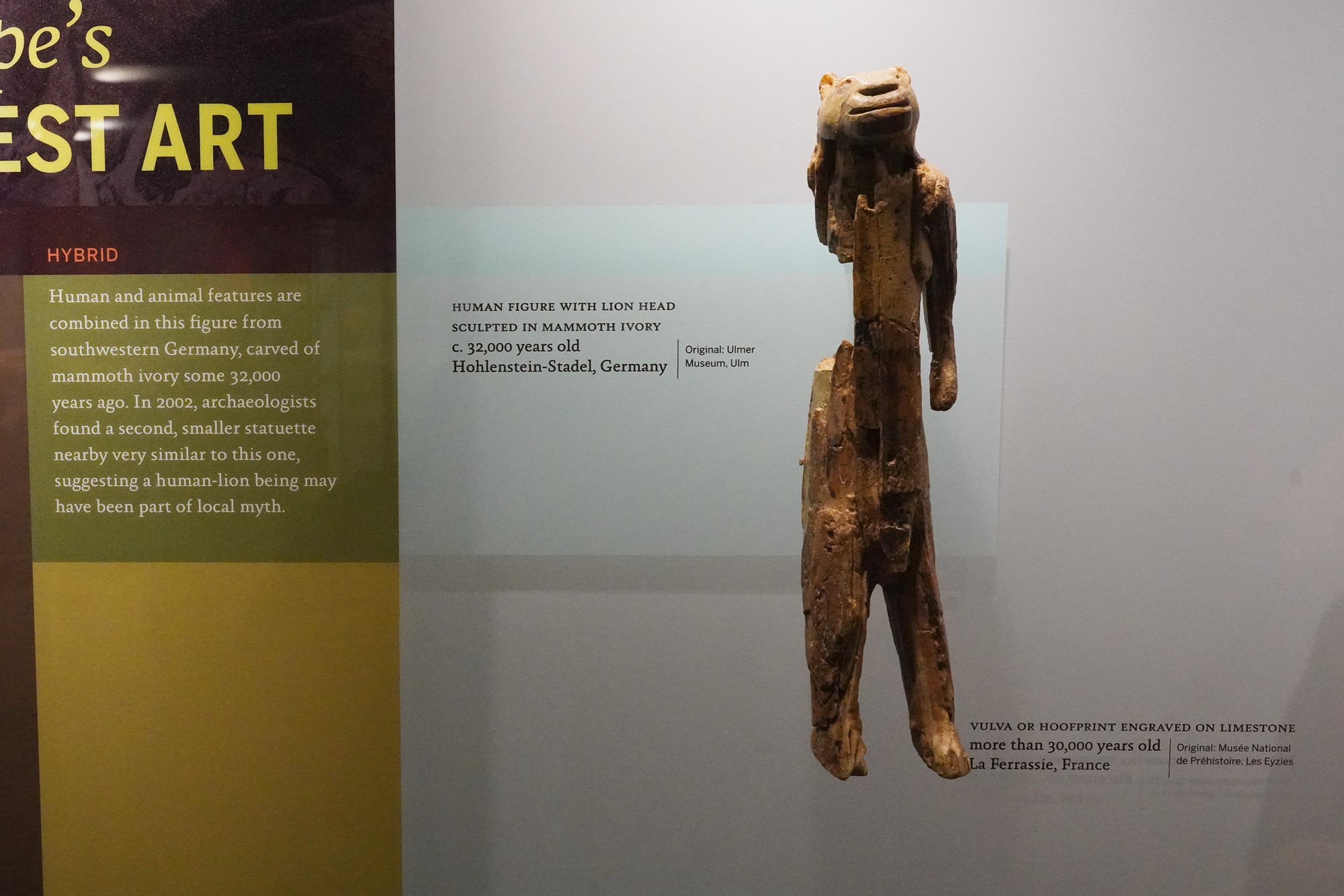 Amerian Museum of Natural History - Human Origins (84)