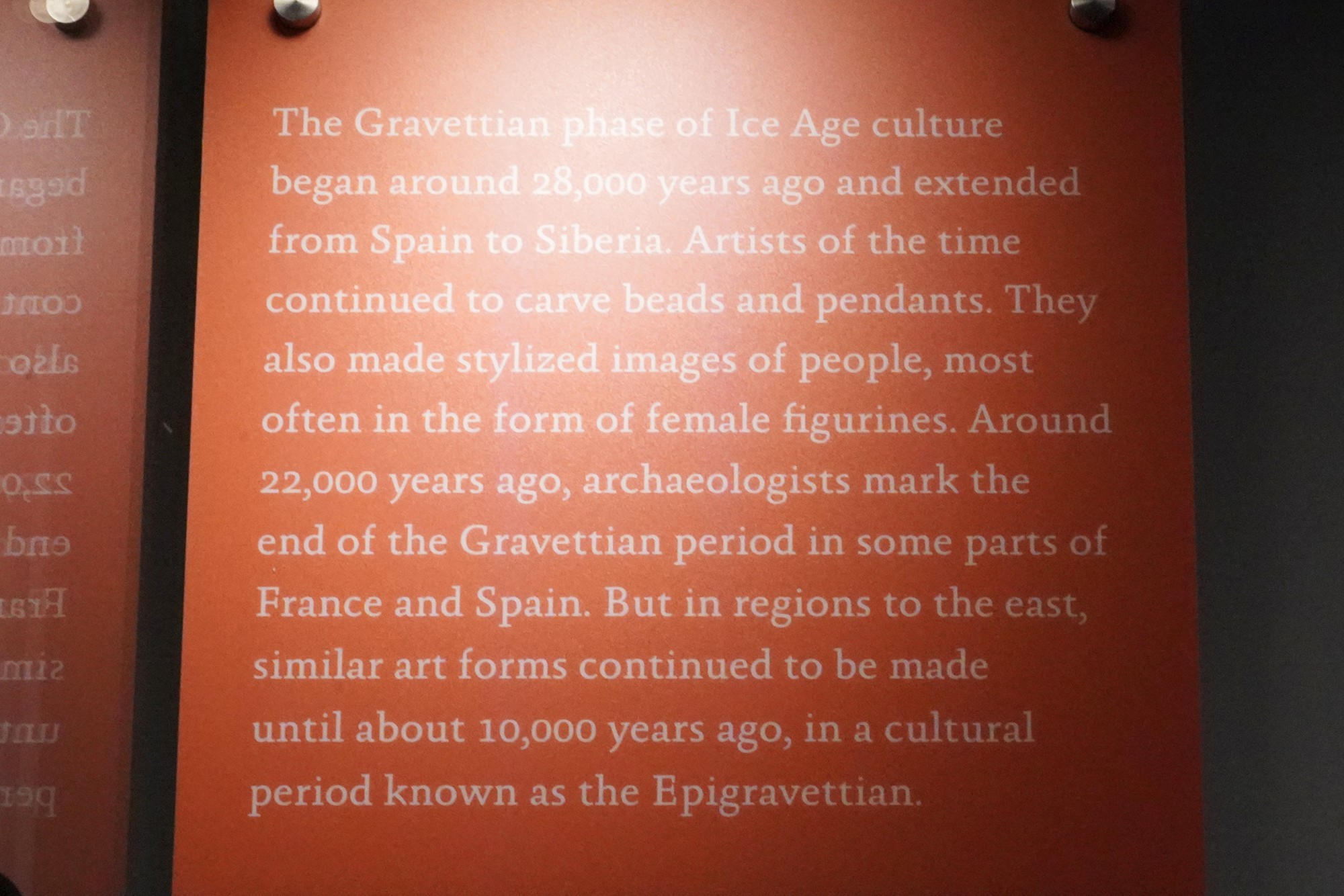 Amerian Museum of Natural History - Human Origins (85)