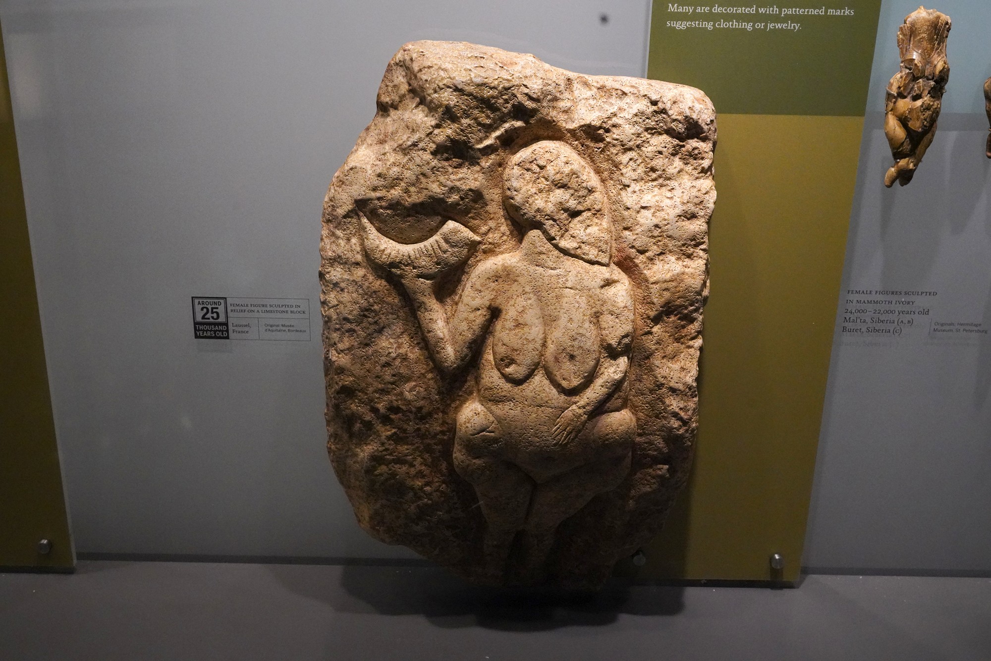 Amerian Museum of Natural History - Human Origins (86)