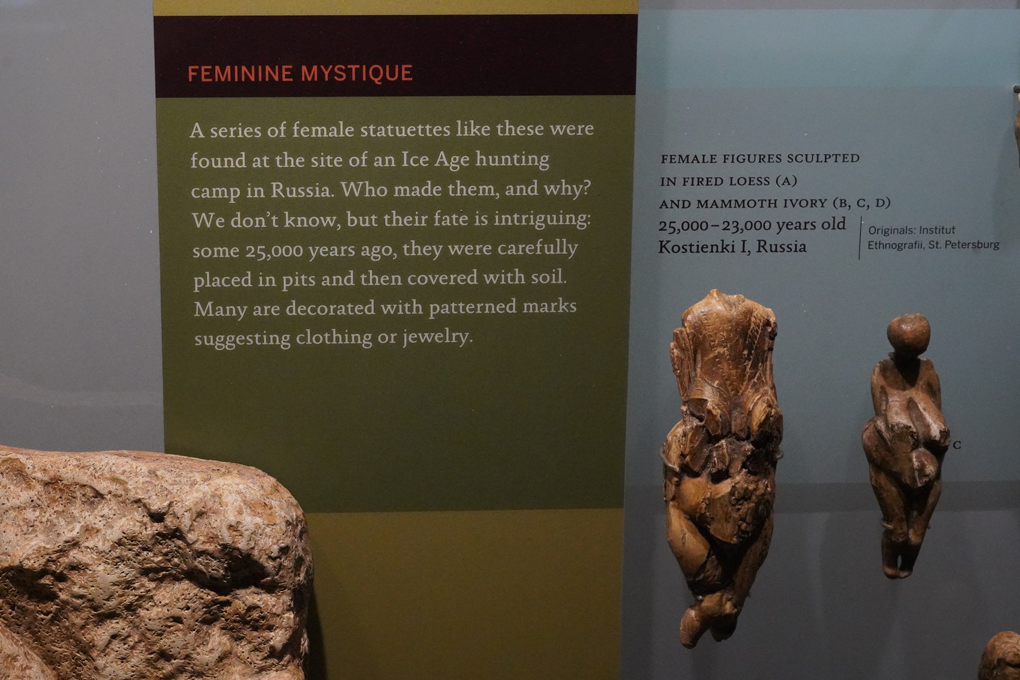 Amerian Museum of Natural History - Human Origins (88)