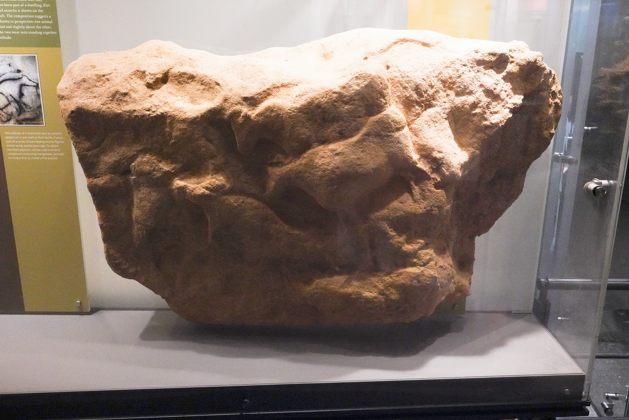 Amerian Museum of Natural History - Human Origins (90)
