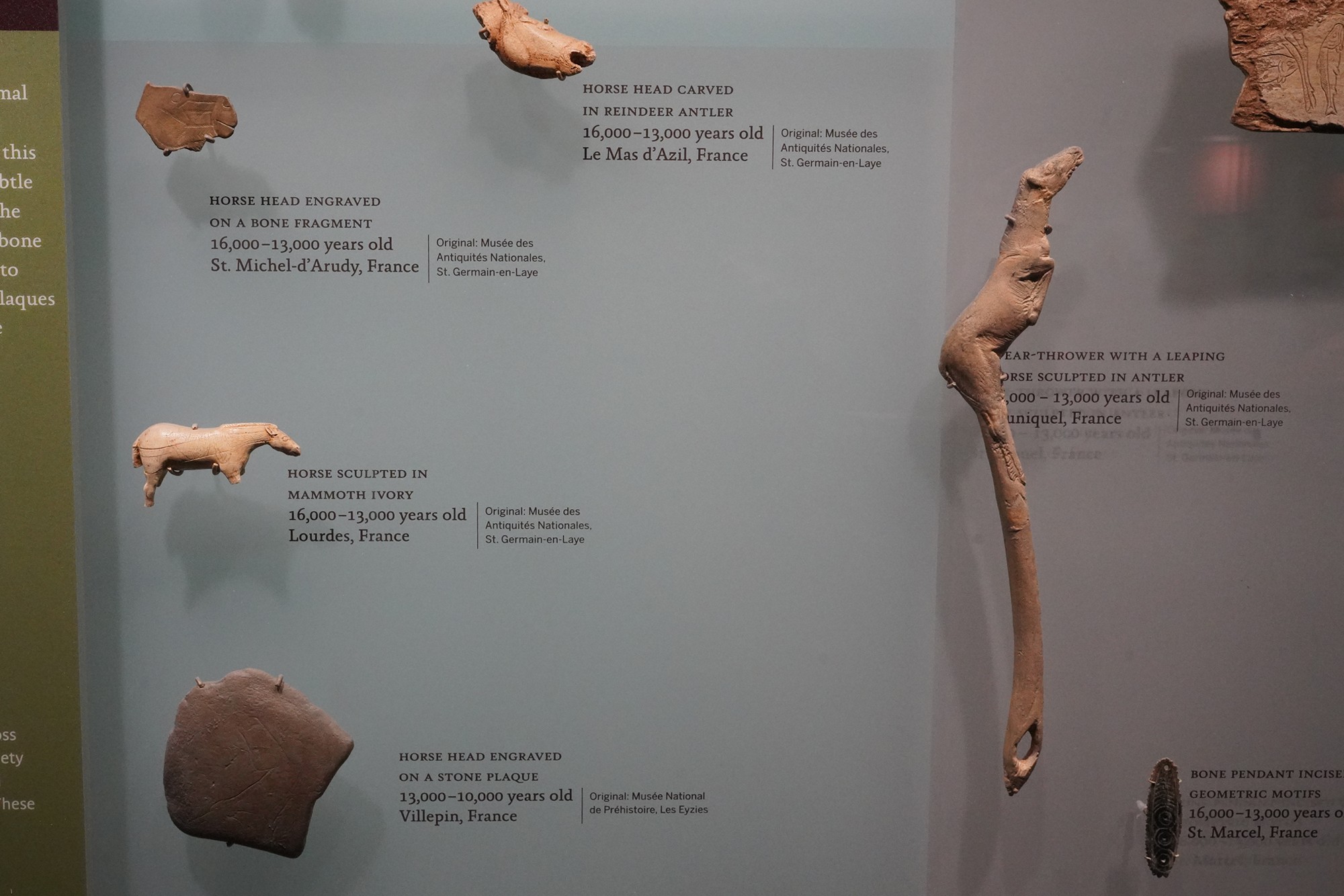 Amerian Museum of Natural History - Human Origins (92)