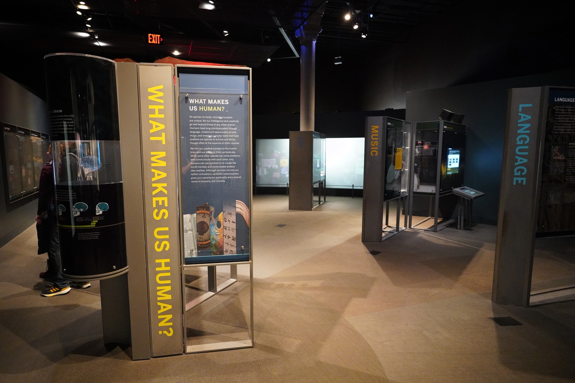 Amerian Museum of Natural History - Human Origins (94)