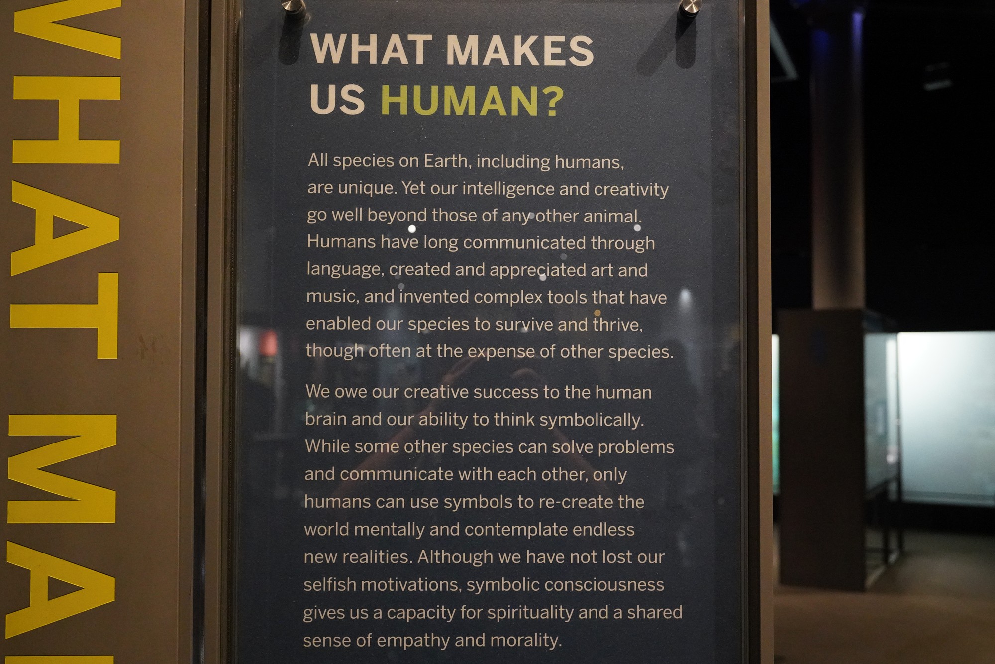 Amerian Museum of Natural History - Human Origins (95)