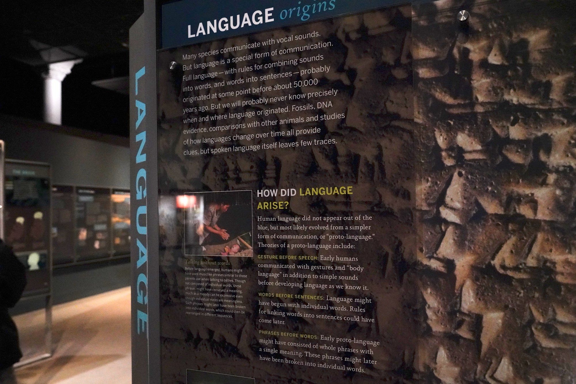 Amerian Museum of Natural History - Human Origins (96)