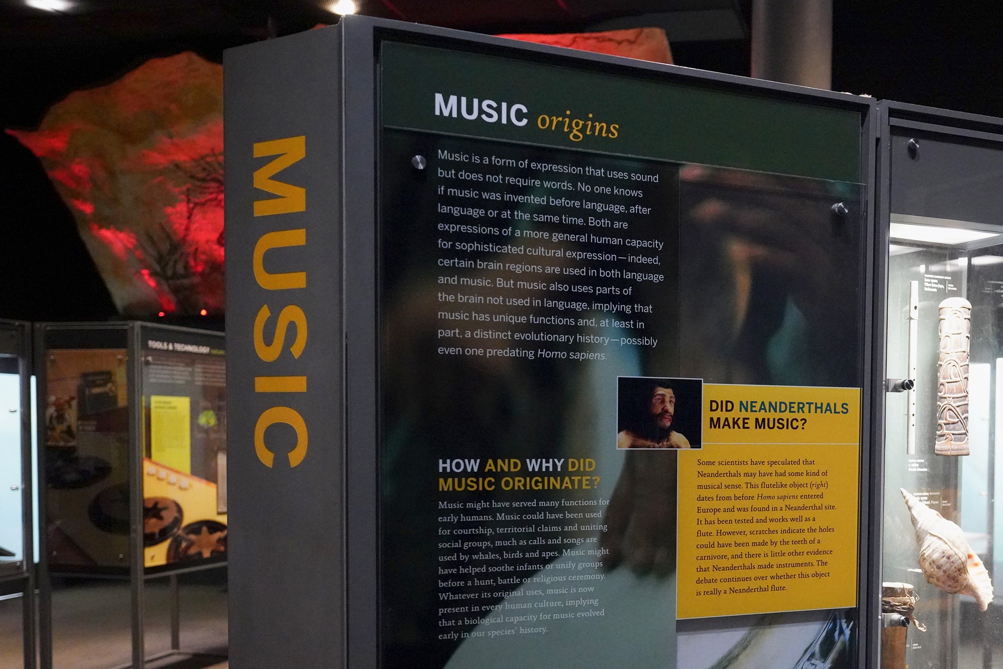 Amerian Museum of Natural History - Human Origins (99)