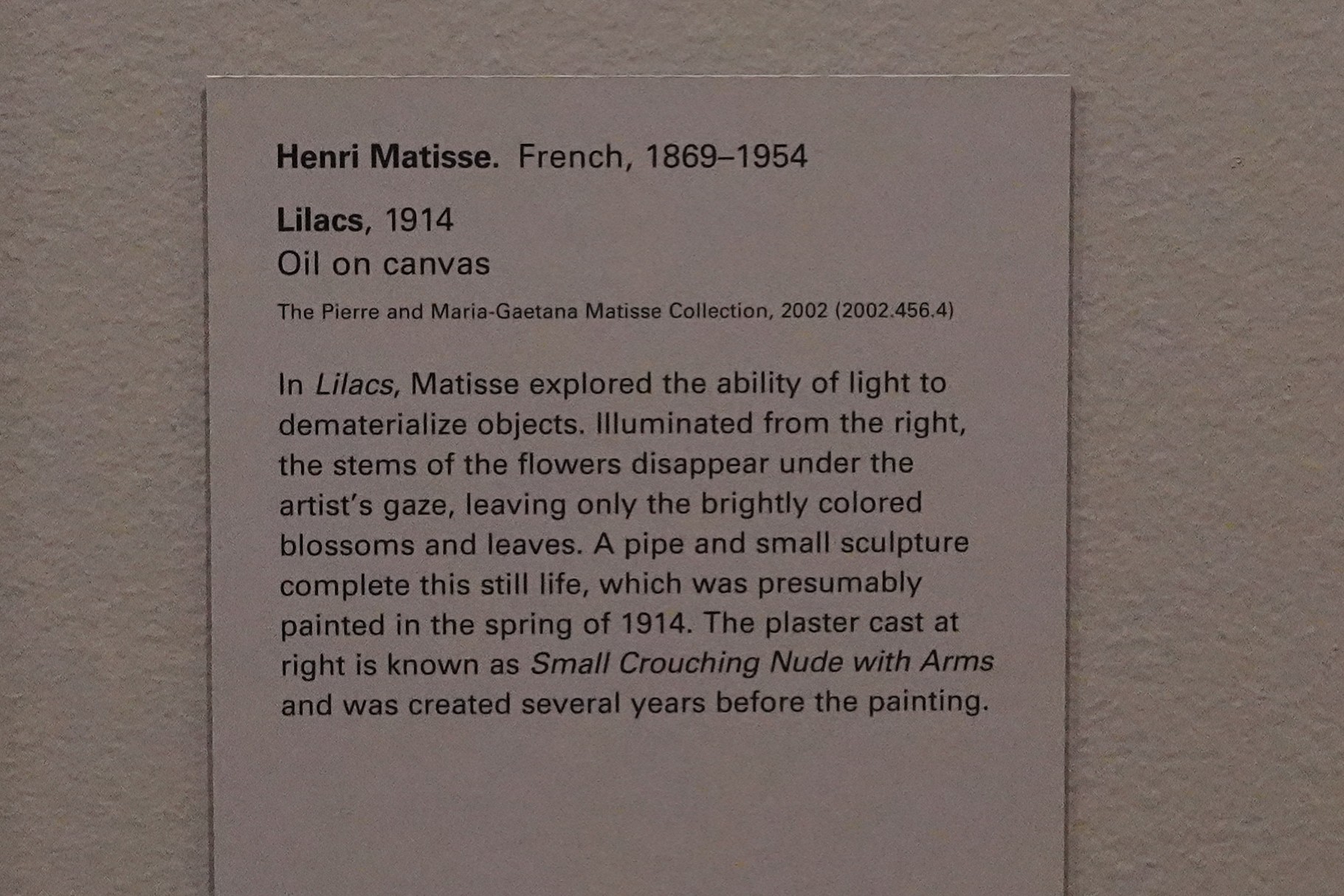 Met Museum Modern Arts (17)
