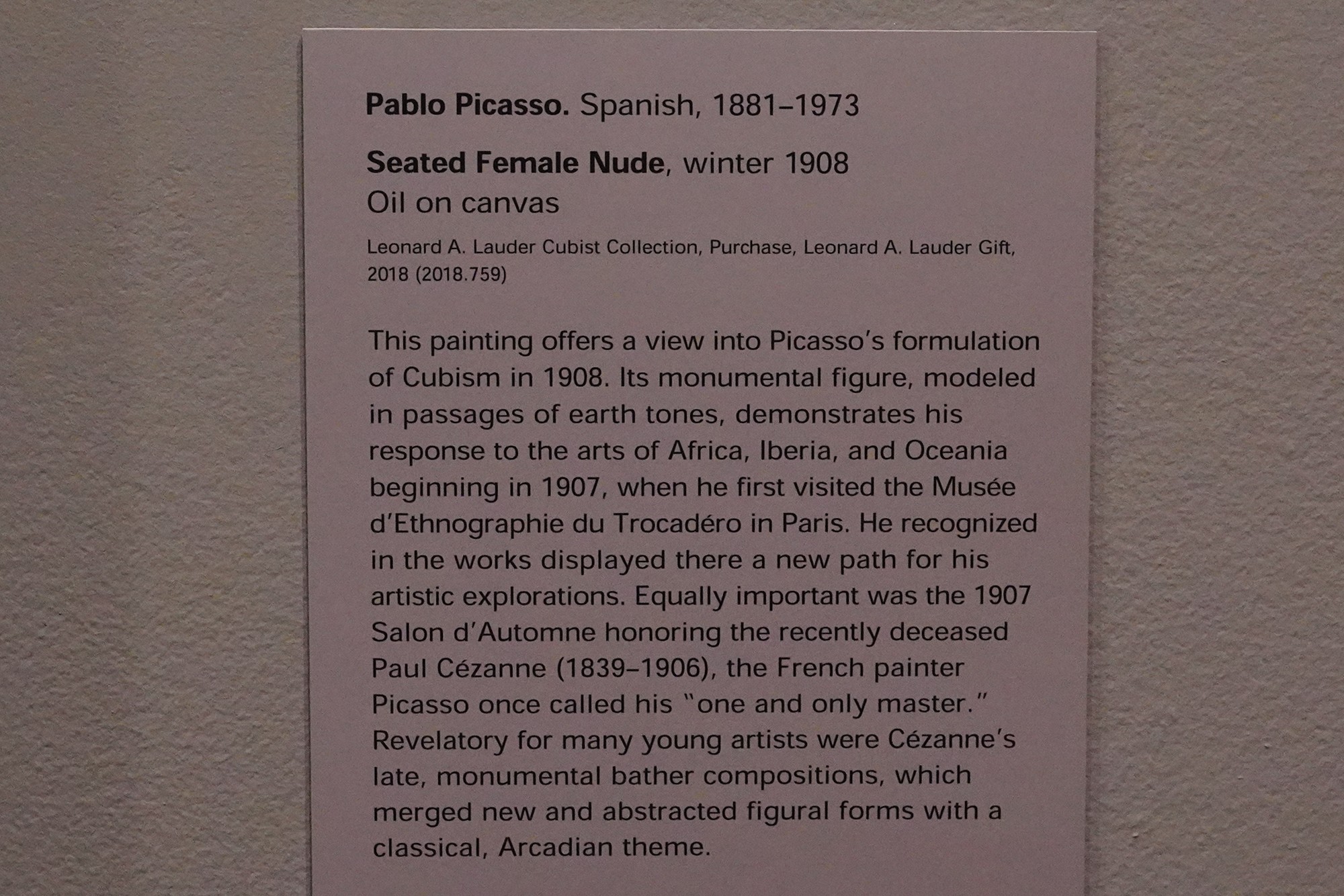 Met Museum Modern Arts (3)